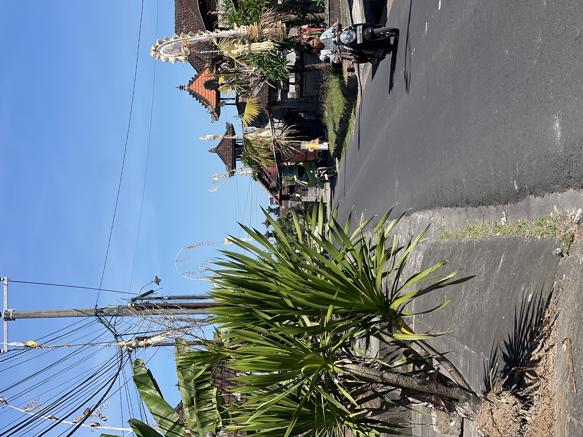 The image depicts a street scene in Sukawati, Indonesia, under a clear blue sky. In the foreground, a large, leafy green plant with multiple trunks grows on the left side of a paved road. The road is mostly empty, with a single black scooter driven by a person with dark hair riding on the right side. The scooter has a license plate visible.
Along the right side of the road, traditional Balinese houses with tiered, reddish-orange tiled roofs and ornate decorations are visible. These decorations, made of woven palm leaves and other materials, suggest a festive or cultural occasion. Some houses have tall, slender poles adorned with similar decorations.
In the background, more houses and a few other vehicles, including a green van and another scooter parked further down the road, can be seen. A wooden utility pole with a dense network of electrical wires stands prominently on the left side of the image, contributing to the urban landscape. The overall impression is a glimpse into the daily life and architecture of a residential area in Sukawati, Indonesia.