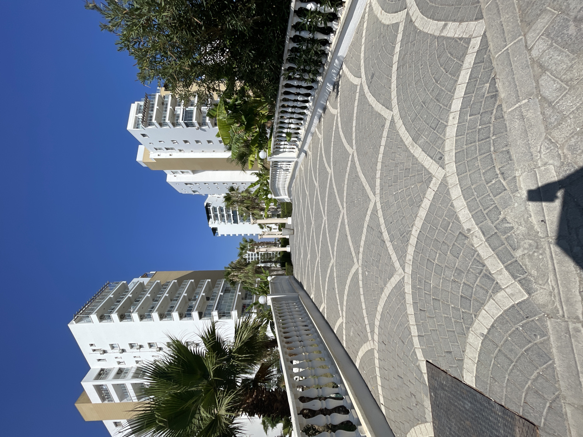 This image captures a sunlit outdoor scene in Trikomo, Northern Cyprus. A paved walkway with a decorative fan pattern, composed of gray and white stone tiles, leads the viewer's eye towards several modern white apartment buildings. A white ornate balustrade borders the walkway on both sides. Palm trees and lush green foliage are interspersed among the buildings, suggesting a warm climate and possibly a resort area. The sky is a clear, vibrant blue. There are no people or animals visible in the frame. The overall impression is one of a well-maintained, bright, and contemporary urban or residential environment.