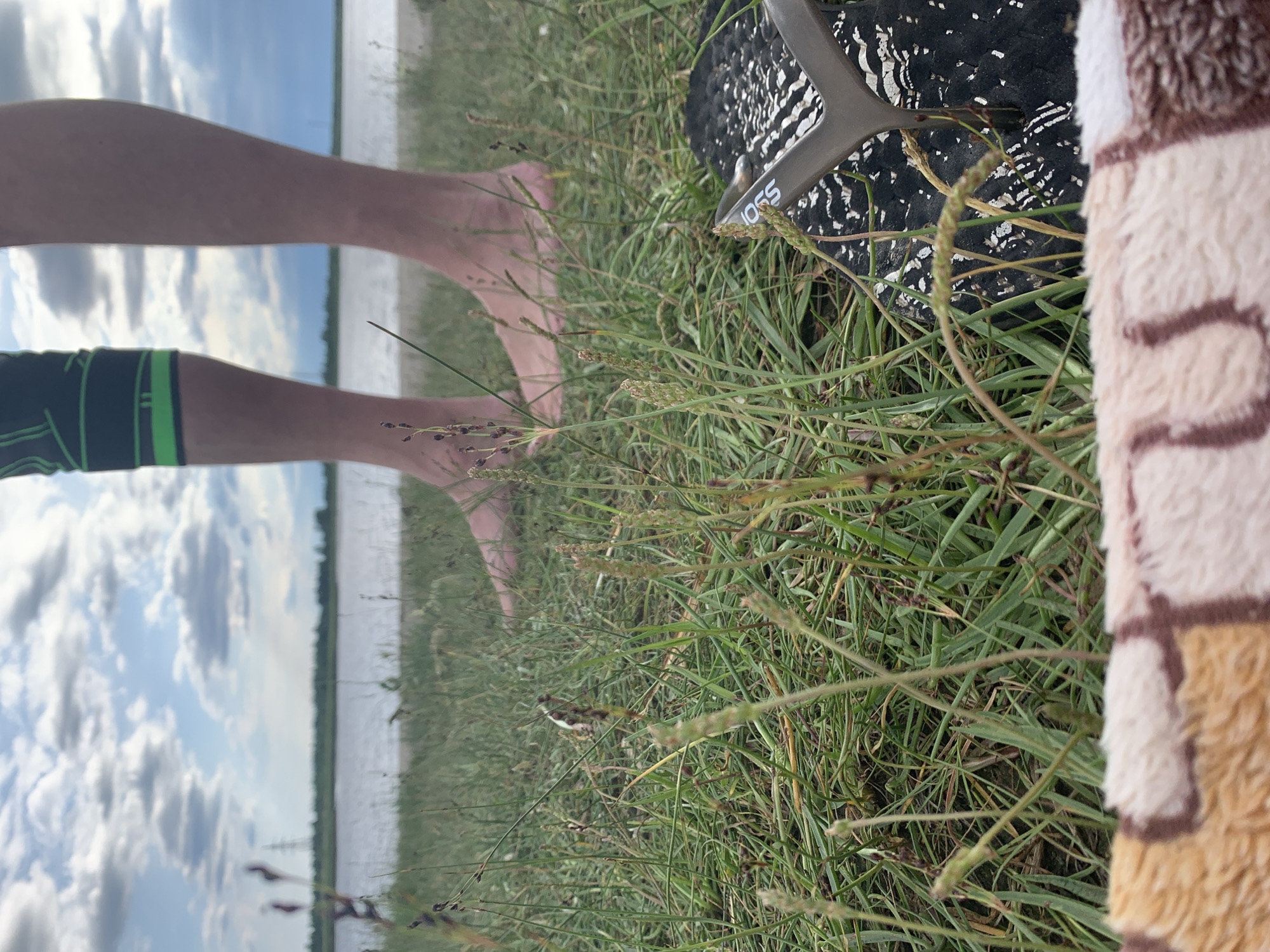 The image depicts a close-up, low-angle view of a person's legs and feet standing on a grassy area near a body of water. The person is wearing a black and green knee brace on their left leg and is barefoot. In the foreground, a black flip-flop with a patterned sole is visible, along with a portion of a patterned blanket or towel. The background shows a calm body of water, a tree line, and a cloudy sky. The scene appears to be an outdoor recreational area, potentially a park or a beach, consistent with locations found in Severodvinsk, Russia, given the natural setting and the body of water which could be the White Sea or a large river. The lighting suggests it is daytime, possibly late afternoon or early evening.