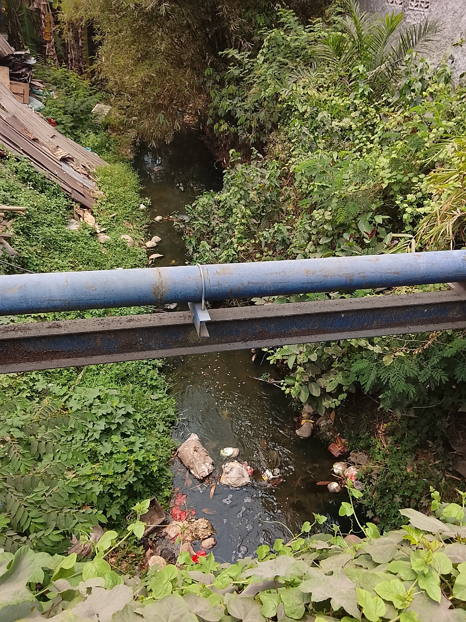 This image depicts a polluted canal flowing through a vegetated area, likely in Sukasejati, Indonesia. A large, blue pipe supported by rusted metal beams crosses horizontally over the canal. The water in the canal is dark and filled with visible debris, including plastic bags, bottles, and other refuse. The banks of the canal are overgrown with dense green vegetation, including bamboo and various leafy plants. On the left side of the canal, there appears to be a slope covered with corrugated metal sheeting and more vegetation, suggesting an informal settlement or construction area. The overall scene conveys a sense of environmental degradation and neglect. There are no people visible in the image.