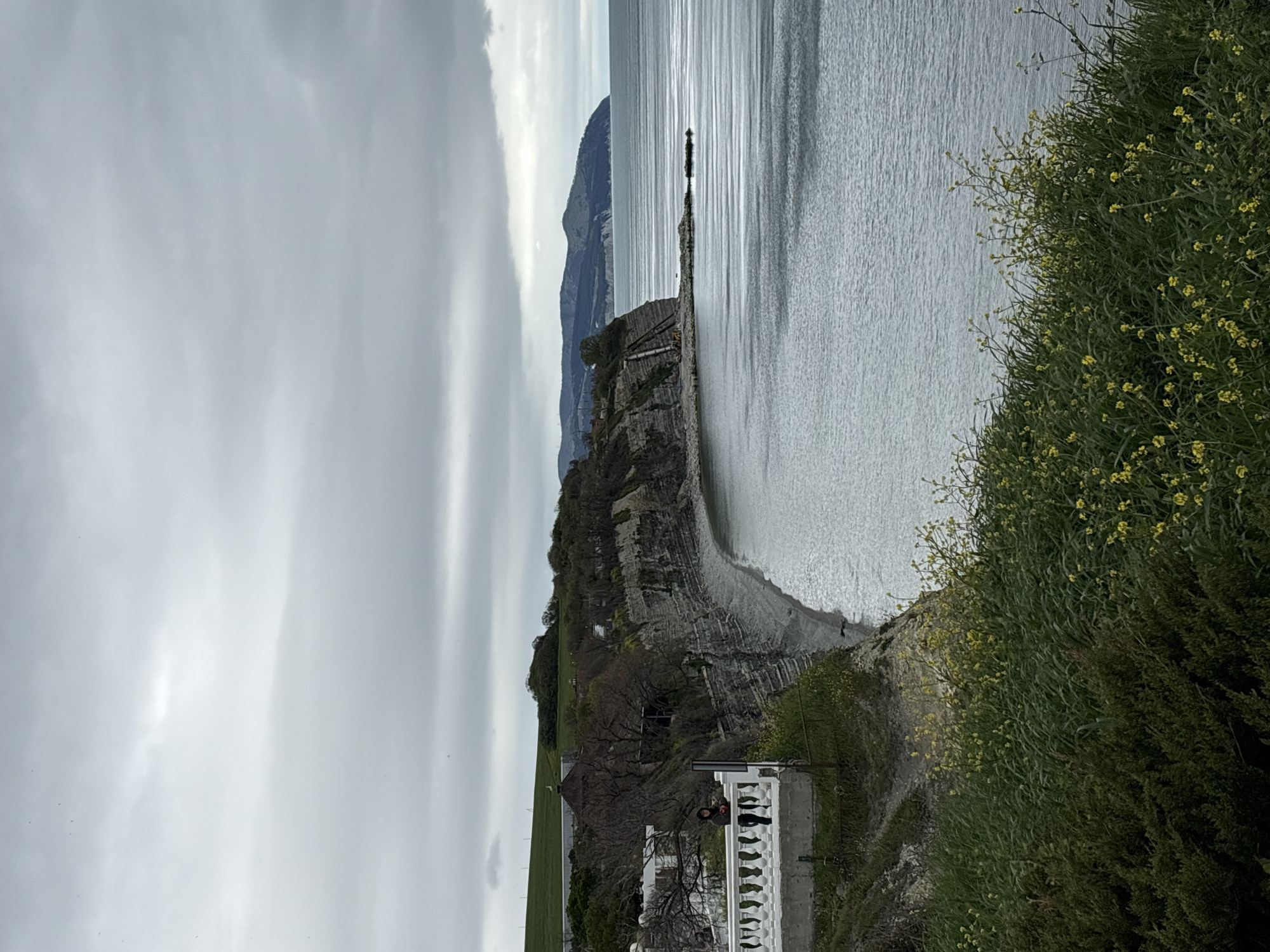 The image depicts a coastal scene in Gelendzhik, Russia, under an overcast sky. The sea, a light grey with shimmering reflections, occupies a significant portion of the frame. A rocky coastline with vegetation, including flowering bushes with small yellow flowers, borders the sea. A layered rock formation is visible leading to the beach. At the lower edge of the image, a white balustrade stands near a building and grassy fields. In the distance, a mountain range fades into the horizon.
