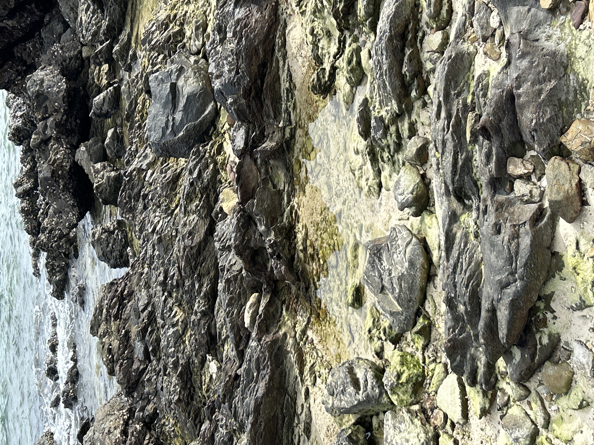 The image shows a close-up, vertically oriented view of a rocky shore at low tide. The rocks are dark gray and black, with rough textures, and are covered in patches of light green algae. The sea, a muted blue-gray, is visible on the left side, with gentle waves lapping at the base of the rocks. In the center of the image, a small tide pool has formed, reflecting the sky and the surrounding rocks. The tide pool has a sandy bottom with small pebbles. The overall scene suggests a natural coastal environment. The lighting is bright, indicating it is likely daytime, with no specific indication of weather conditions other than the presence of water. The location context provided is Tambon Phru Nai, Thailand. There is no text visible in the image.
