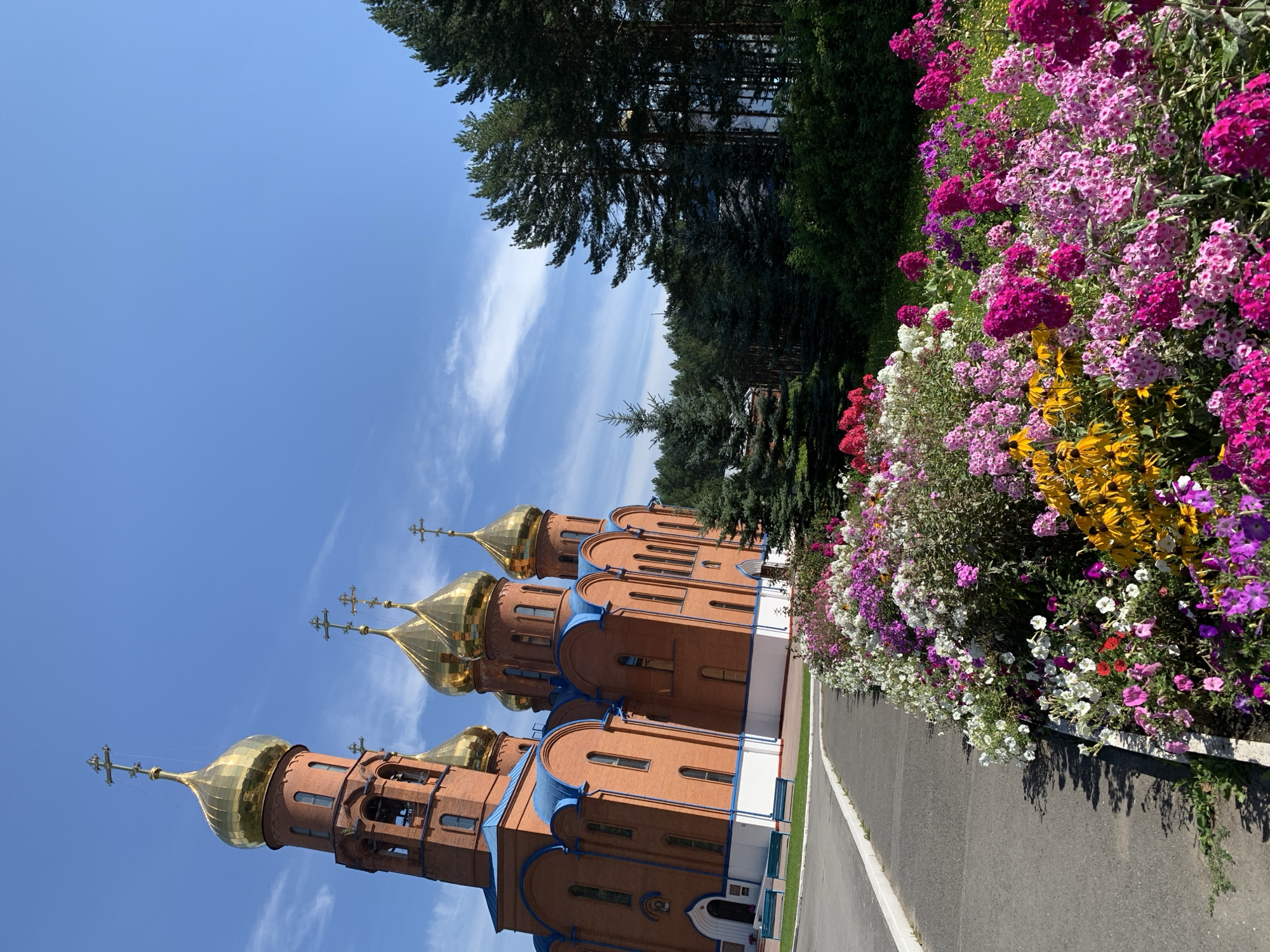 The image shows a bright, sunny day with a clear blue sky and scattered clouds. In the foreground, a vibrant flower bed is bursting with a variety of colorful flowers, including pink, purple, white, and yellow blooms. The flowers are arranged along a paved walkway.
Dominating the mid-ground and background is a large, red-brick Orthodox church with a blue roof. The church features multiple golden domes topped with crosses, and a tall bell tower also adorned with a golden dome and cross. The architecture appears traditional for Orthodox churches.
To the right of the church, a dense line of tall green pine trees forms a natural border. The overall scene suggests a peaceful and well-maintained religious or public space, possibly within the city of Prokopyevsk, Russia, given the context provided. There are no people or animals visible in the image.