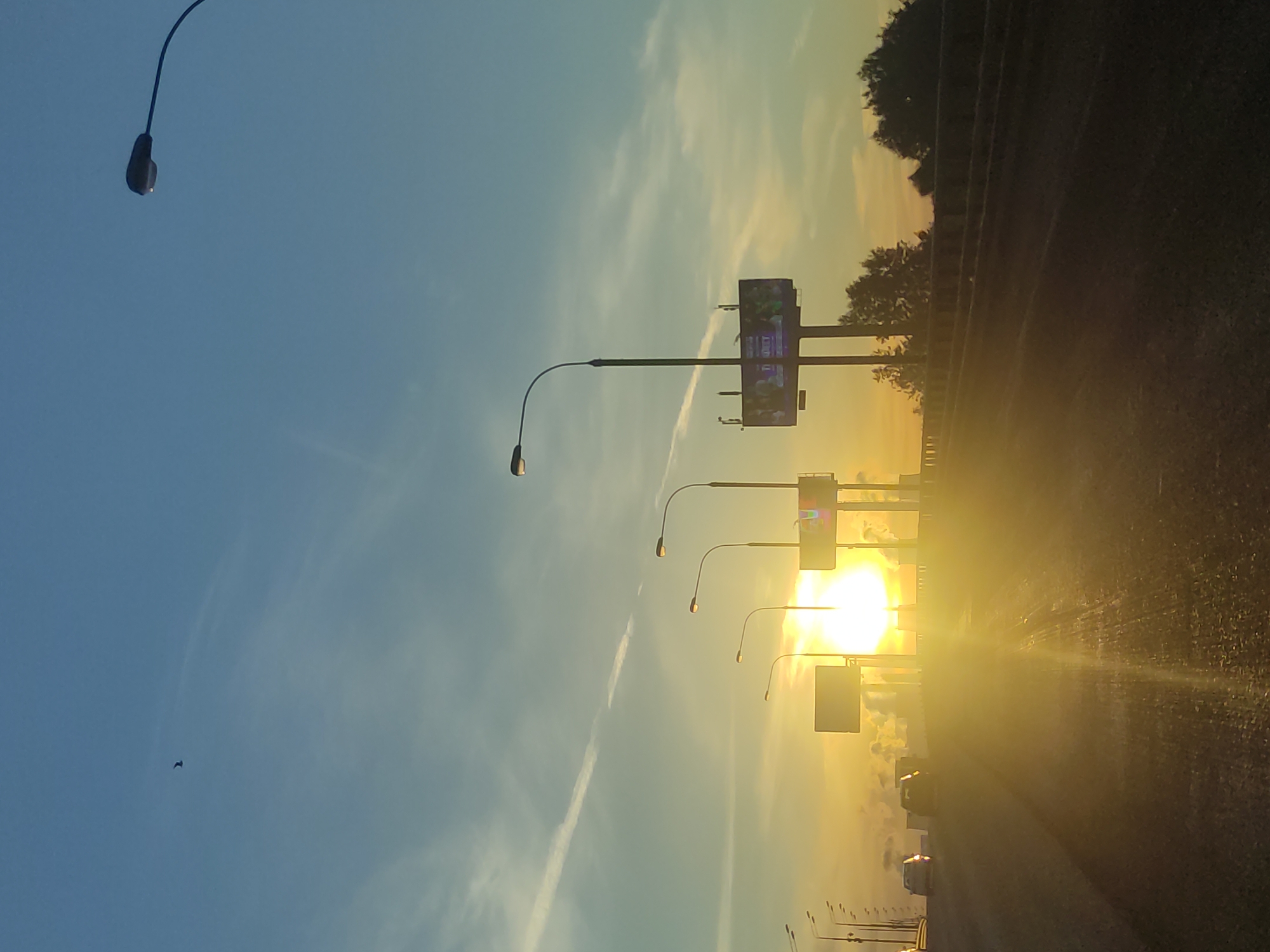 The image, taken with a landscape orientation (rotated clockwise), depicts an outdoor scene at either sunrise or sunset on a multi-lane road or highway. The sky dominates the left side, transitioning from a clear, bright blue at the top to vibrant golden and orange hues near the horizon on the right. A prominent, white contrail or cloud streak extends diagonally across the sky from bottom-left to top-right. A small, dark bird is visible in flight against the blue sky in the upper left quadrant.
The sun is a powerful, blinding light source positioned low on the horizon in the middle-right, casting intense golden light across the scene and creating significant lens flare. This strong backlight silhouettes many features. A series of modern streetlights with curved arms line the road, extending towards the bright sun. Further along the road, at least two large billboards are visible, their structures silhouetted against the bright sky, with their content rendered indistinct due to glare.
The road surface, likely asphalt, reflects the golden sunlight. Several vehicles are visible in the distance on the road, mostly appearing as dark shapes against the bright background due to the sun's glare. Trees and bushes line the right side of the road, forming a dark, silhouetted edge.
The scene conveys a sense of travel during the golden hour, with the strong natural light being the focal point. No discernible text is clearly visible on any of the billboards or other objects in the image.