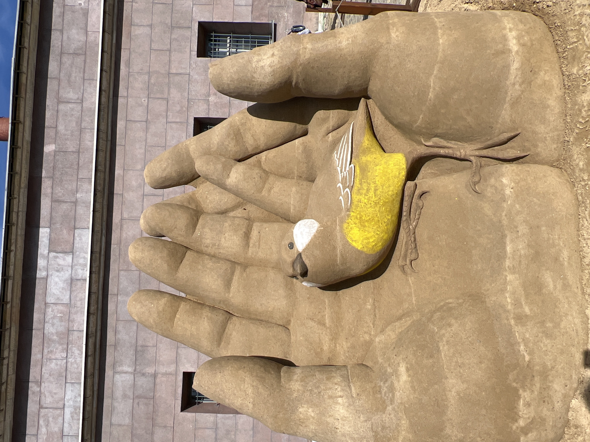 The image, depicting a large sculpture, is rotated 90 degrees clockwise from its original orientation. The central focus is a massive sculpture of two human hands, appearing to be crafted from sand or a similar granular material, with an earthy, light brown hue. The hands are cupped together, holding a brightly colored bird sculpture. This bird is predominantly yellow, featuring distinct white feather markings on its wings and a white patch around its eye. Its beak and small eye are dark. The sculpture exhibits detailed textures, showing the contours of knuckles and fingers.
In the background, a tall, multi-story building with a facade of rectangular, light grey or muted pink tiles is visible. Several dark-framed windows, some with grilles, are spaced across the building's surface. Bright sunlight illuminates the scene, casting clear shadows that emphasize the depth and form of the hands and the bird, suggesting it is daytime under clear skies. A small portion of blue sky is visible at the top left of the original image frame. No visible text is present in the image. The sculpture conveys a sense of care, protection, or peace, with the large hands cradling the delicate bird. The setting is an urban environment, specifically in Saint Petersburg, Russia.