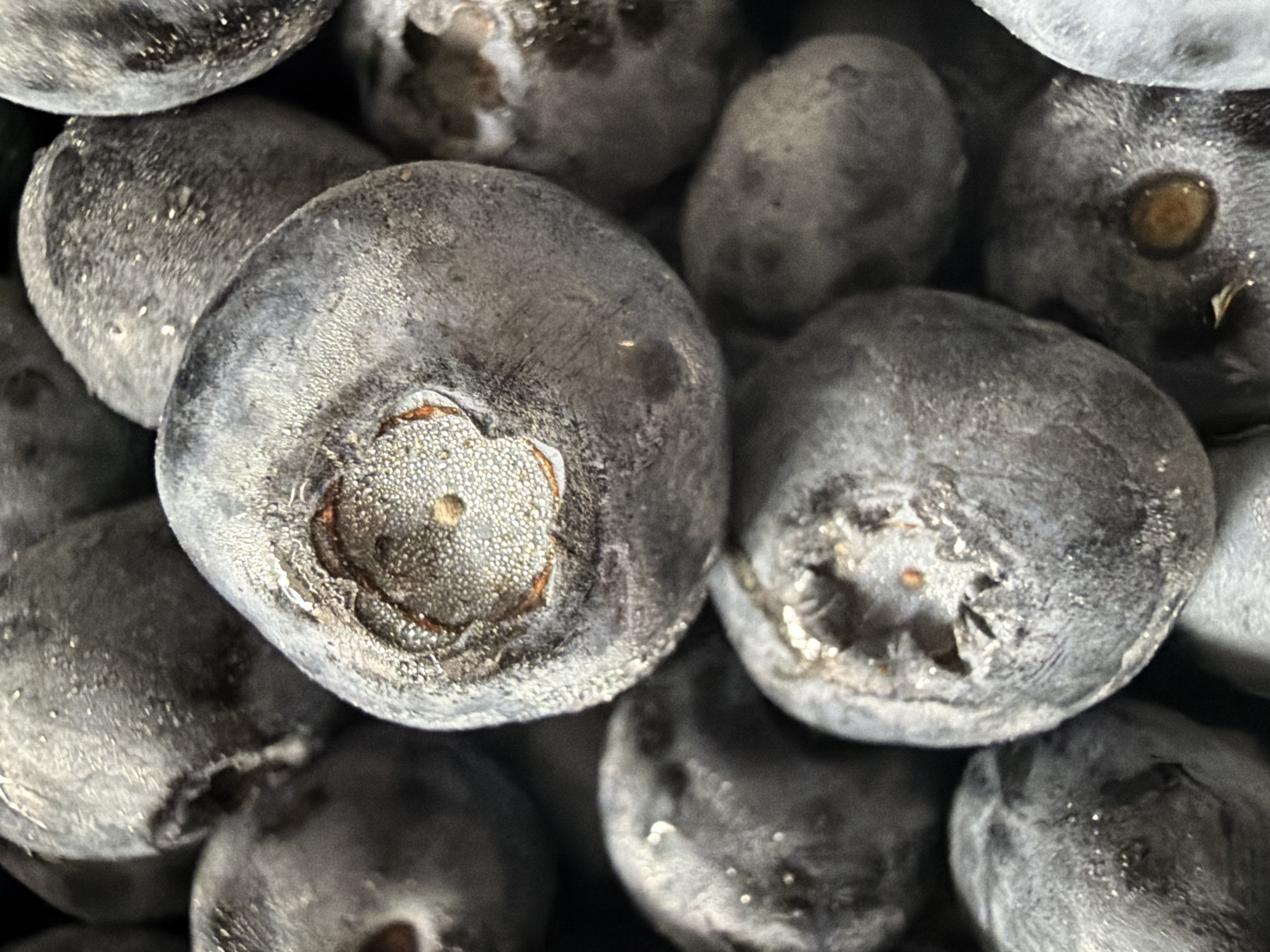 A close-up, overhead, vertical shot shows a pile of dark blue, round blueberries. Many of the blueberries have a dusty, powdery bloom on their surface, and some have tiny droplets of water or dew. The centers of some blueberries show a darker, circular indentation. The lighting is soft, and the focus is on the textures and details of the fruit, with some blueberries out of focus in the background and foreground. The scene appears to be indoors, possibly in a kitchen or a produce market, and there is no indication of the city of Irkutsk, Russia.
