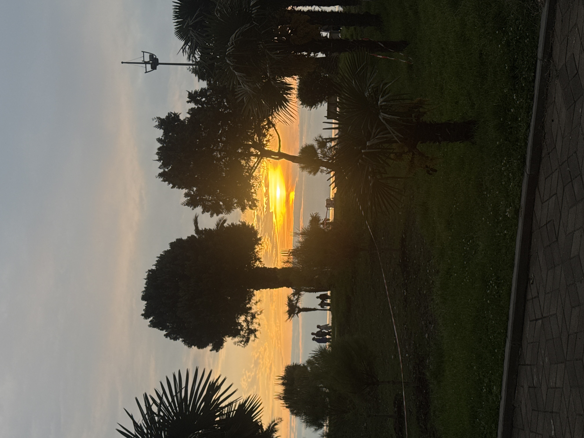 The image captures a sunset view in Batumi, Georgia. In the foreground, there are silhouettes of palm trees and deciduous trees against a gradient sky ranging from grey to orange. A group of people can be seen standing near the waterfront, also silhouetted. A streetlight is visible in the background. The scene appears to be a park or recreational area, with a paved pathway along the right edge. The focus is on the sun setting over the water, casting a warm glow.