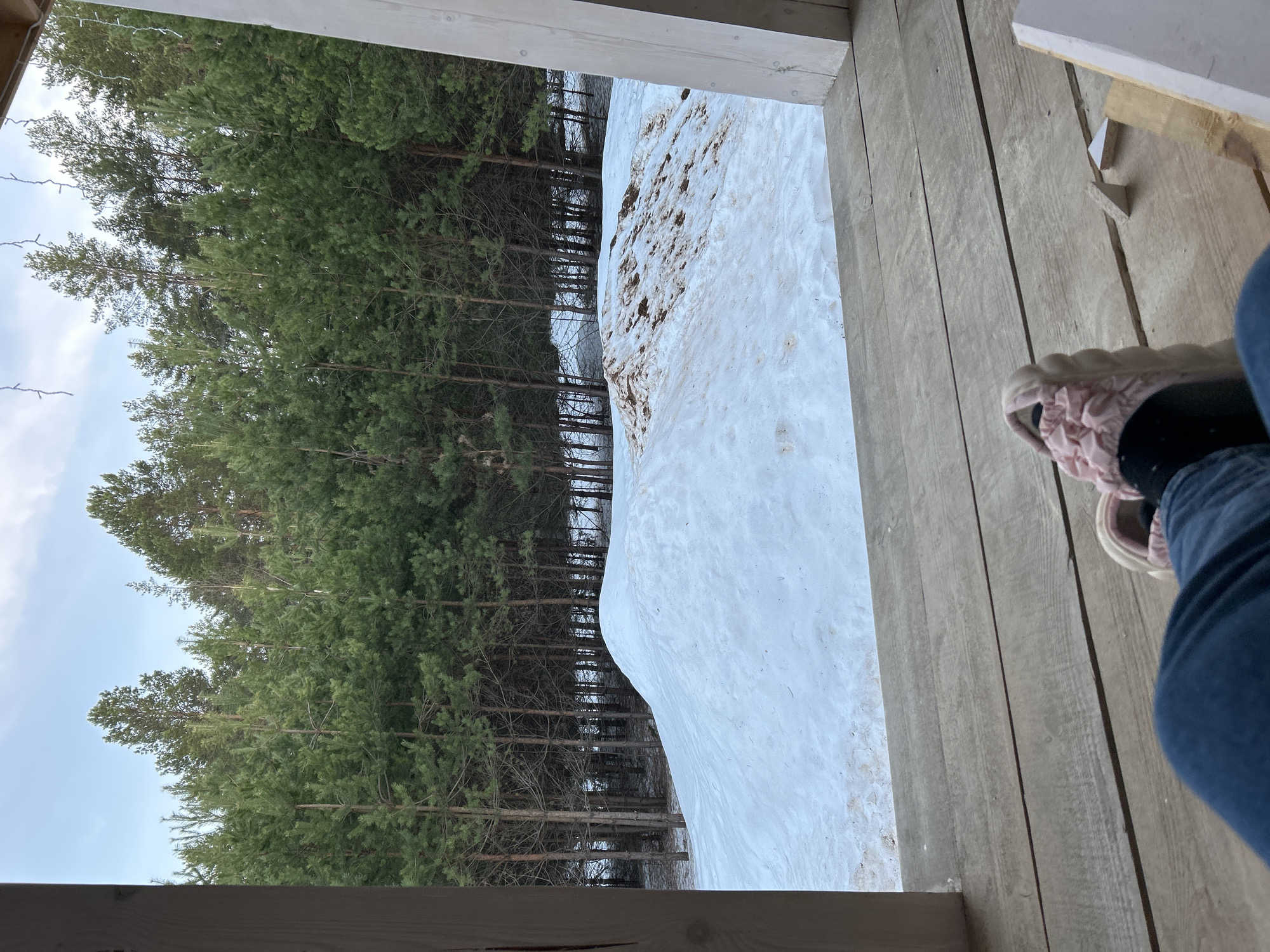 The image shows a view from an elevated wooden structure, possibly a porch, overlooking a snowy landscape in what appears to be a wooded area. A dense forest is visible, with tall, thin trees stretching towards the sky. A large snowdrift, partially covered with dirt or debris, occupies a significant portion of the view outside. A person wearing jeans and pink slippers is partially visible on the wooden floor of the structure. Based on the query, the location is assumed to be in Chaikovsky, Russia.