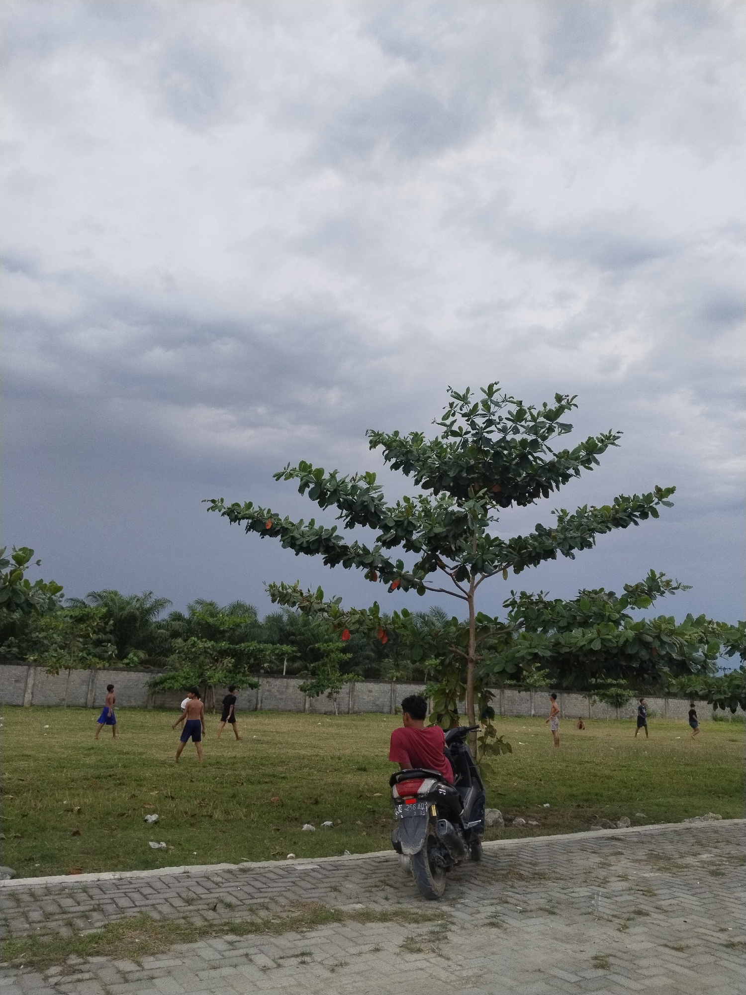 Memory
