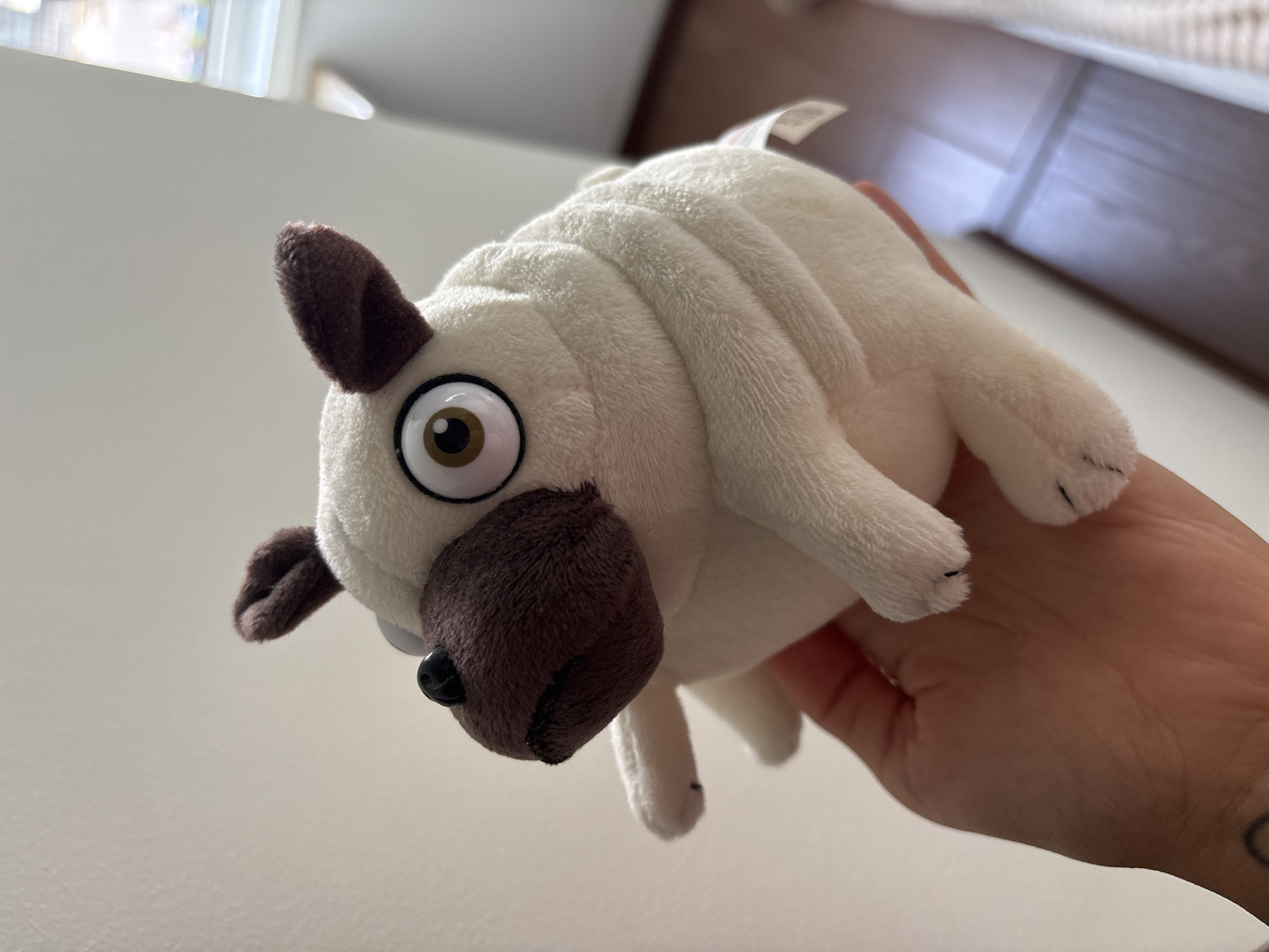 A human hand, with a light skin tone and a partial dark tattoo visible on the inner wrist, holds a cream-colored plush toy depicting a stylized pug. The plush toy features a rounded, soft body with visible folds, short limbs, dark brown floppy ears, and a prominent dark brown snout with a black nose. Its eyes are large, round, and exaggerated, with white sclera, light brown irises, and black pupils. The background consists of a plain, light-colored wall to the left and a blurred indoor environment to the right, showing a dark floor and a bright, rectangular light source, possibly a window. The specific location in the city of Saint Petersburg, Russia, cannot be determined from the image.