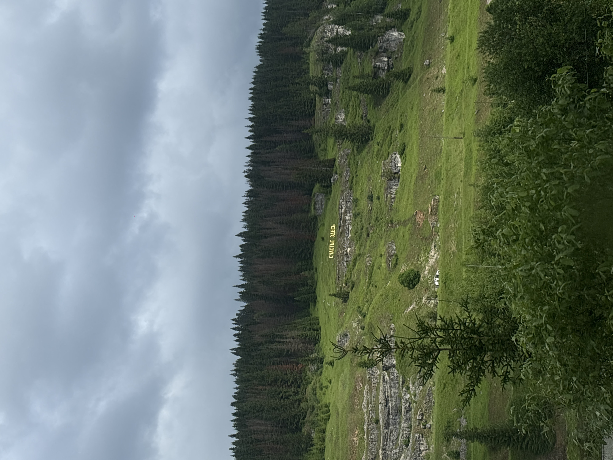 The image shows a landscape in the city of Usvya, Russia, featuring a lush green hillside with a dense forest at the top. The sky is overcast with dark clouds. On the hillside, large, bright yellow lettering spells out "СЧАСТЬЕ ЗДЕСЬ" which translates to "Happiness is Here." The lettering is placed on a rocky outcrop amidst the greenery. A few scattered trees are visible on the slope, along with some rock formations. In the foreground, there are dense bushes and trees. The overall scene depicts a natural, mountainous environment with a prominent, positive message displayed on the landscape.