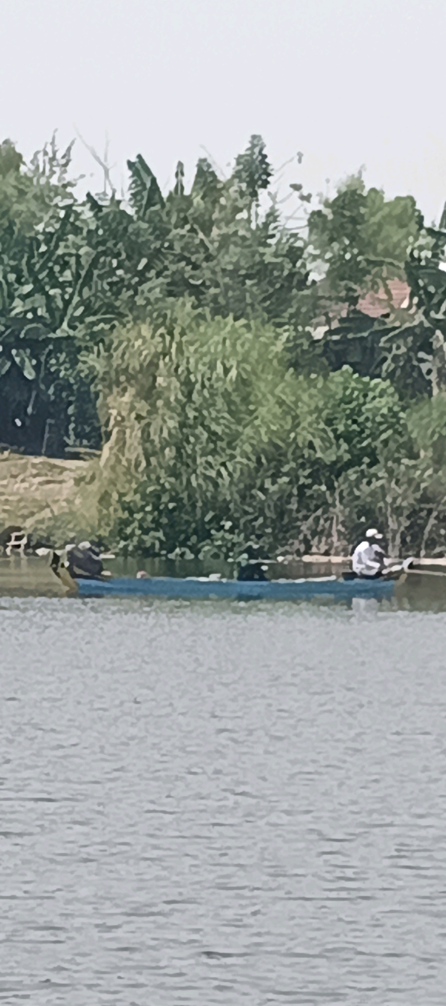 In Laren, Indonesia, two individuals are observed in a blue canoe on a body of water. One person, wearing a white shirt and a hat, is seated towards the stern, facing away from the viewer. The other person, wearing dark clothing, is seated in the middle of the canoe, also facing away. The canoe is positioned near the shore, where lush green foliage and trees form a dense backdrop. The water is calm, with a rippled surface reflecting the overcast sky. The scene depicts a tranquil moment of people in a boat amidst natural surroundings.