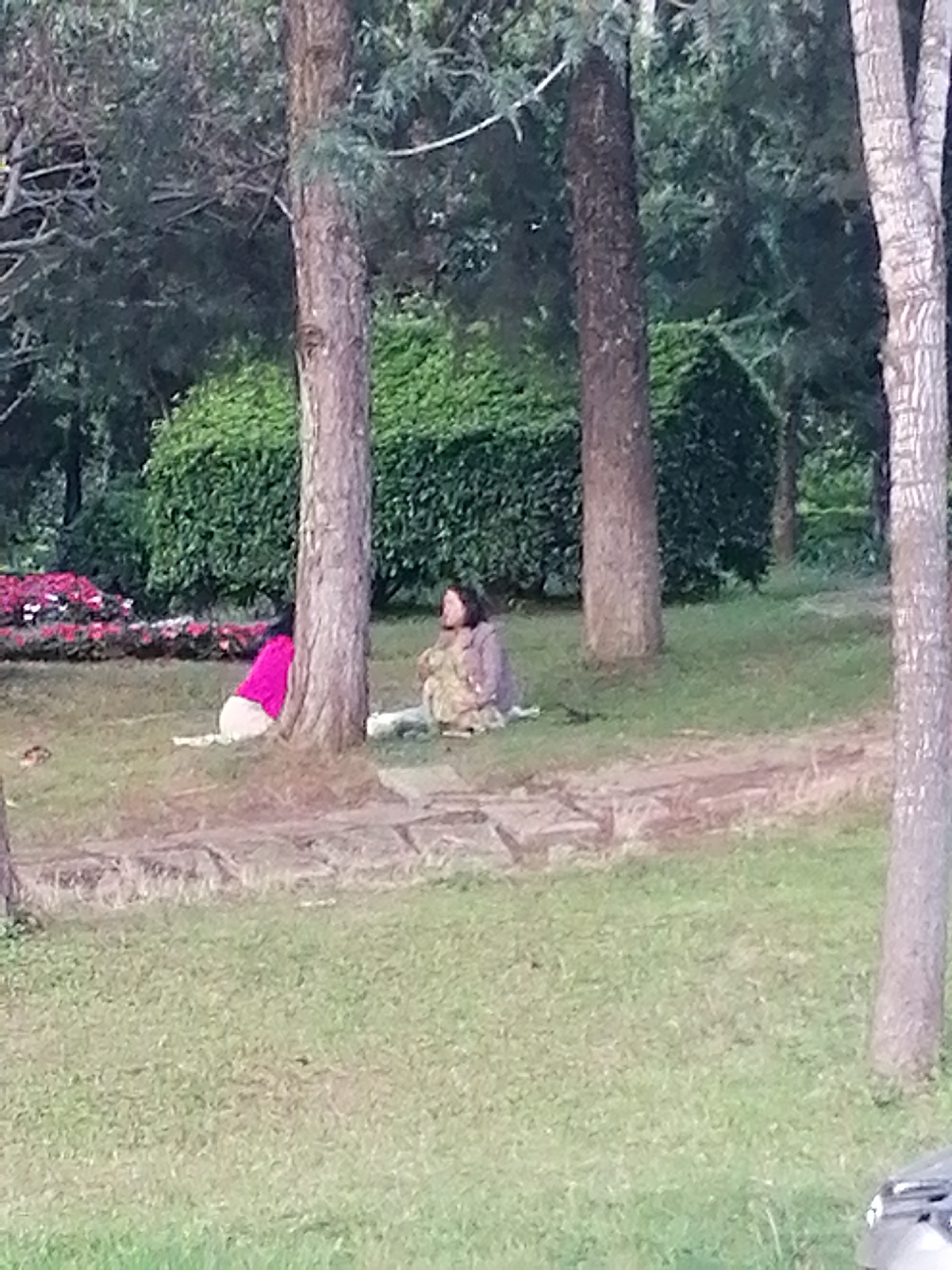 The image depicts an outdoor scene in the city of Da Lat, Vietnam, likely within a park or garden setting. In the foreground, a grassy area is visible, with a pathway or dirt track running through it. Several trees with rough bark are scattered throughout the scene, with one prominently featured in the mid-ground.
Two individuals are seated on the grass in the mid-ground. The person on the left is wearing a bright pink garment and is seated with their back to the camera, facing towards the large tree. The person on the right is facing the camera and appears to be wearing a patterned garment, possibly a dress or traditional attire. They are seated with their legs bent and are looking towards the left.
Behind the individuals, there is a dense, manicured hedge that forms a green wall. To the far left of the image, a patch of colorful flowers, possibly pink and white, is visible. The overall environment suggests a tranquil, possibly tourist-oriented location. The lighting suggests it is daytime, with soft, diffused light filtering through the trees. The image quality is somewhat blurry, indicating it may have been taken with a lower-resolution camera or from a distance.