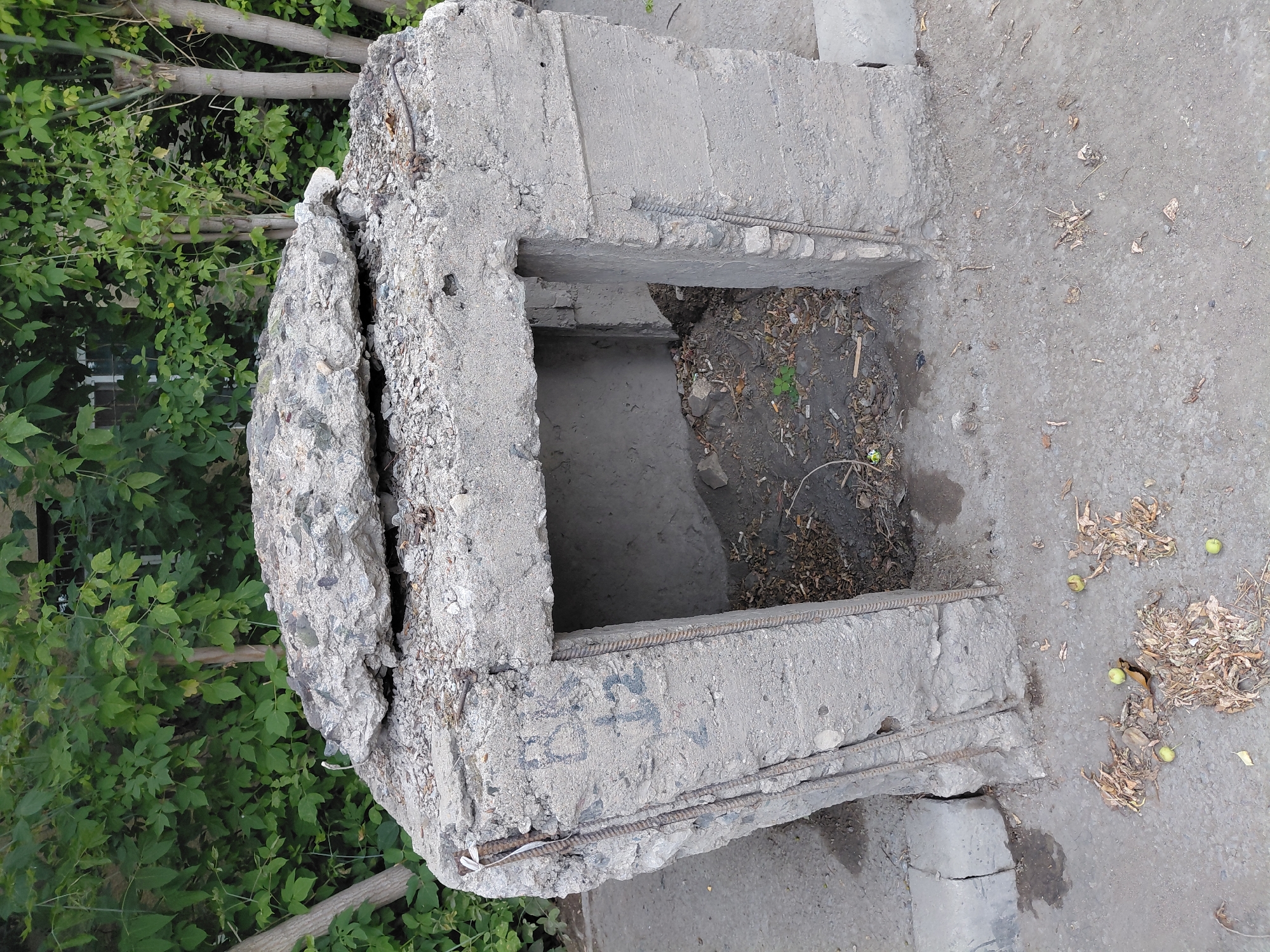 An abandoned concrete structure with a small opening is situated on a paved surface. The structure is in a state of disrepair, with visible rebar and broken concrete. The opening leads into a dark interior filled with debris. Green foliage and trees form a backdrop behind the structure. Scattered on the ground are fallen leaves and a few small, round objects that appear to be fruit. The scene is likely located outdoors in an urban environment, possibly in the city of Qarağandı, Kazakhstan, given the prompt's context. No people are present in the image.
