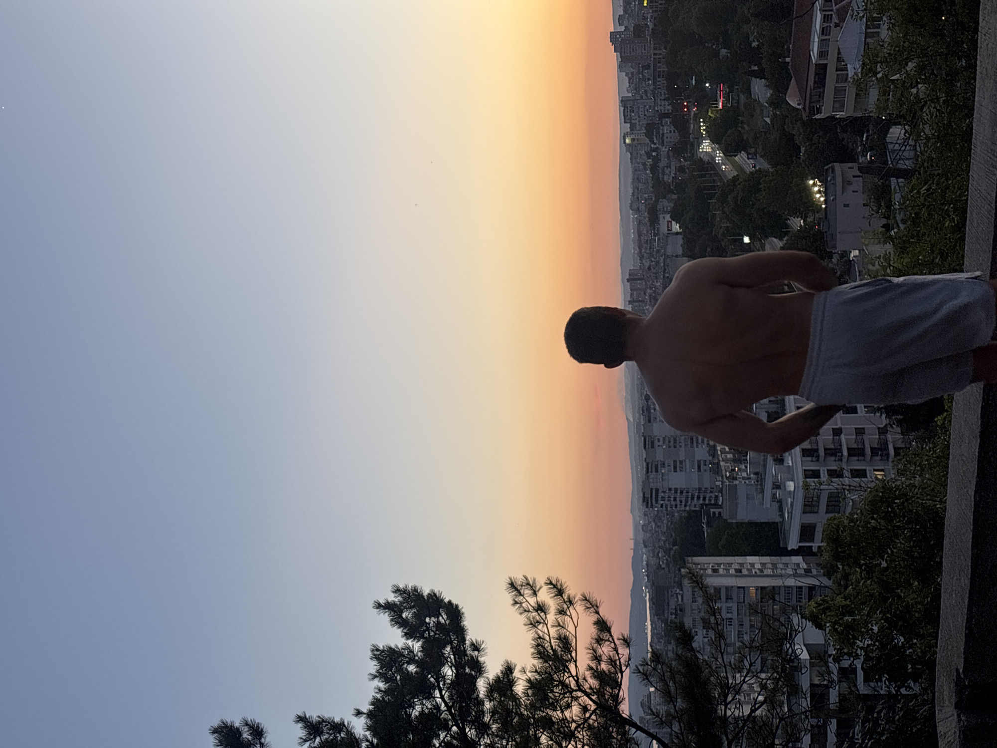 In Varna, Bulgaria, a shirtless man stands facing away from the camera, his back and shoulders illuminated by the setting sun. He wears light blue shorts. The man is positioned on a concrete ledge overlooking a city sprawling below. The sky is a gradient of soft blues and oranges, transitioning into dusk. Buildings of various heights and architectural styles populate the cityscape, interspersed with trees and greenery. A road with visible car headlights winds through the city, suggesting it is a well-traveled area. In the distance, a body of water can be seen, and the faint outline of hills or mountains frames the horizon. A large pine tree branches into the left side of the frame, its needles dark against the vibrant sky. The overall scene captures a serene moment at the end of the day, with the man seemingly contemplative as he observes the urban panorama.