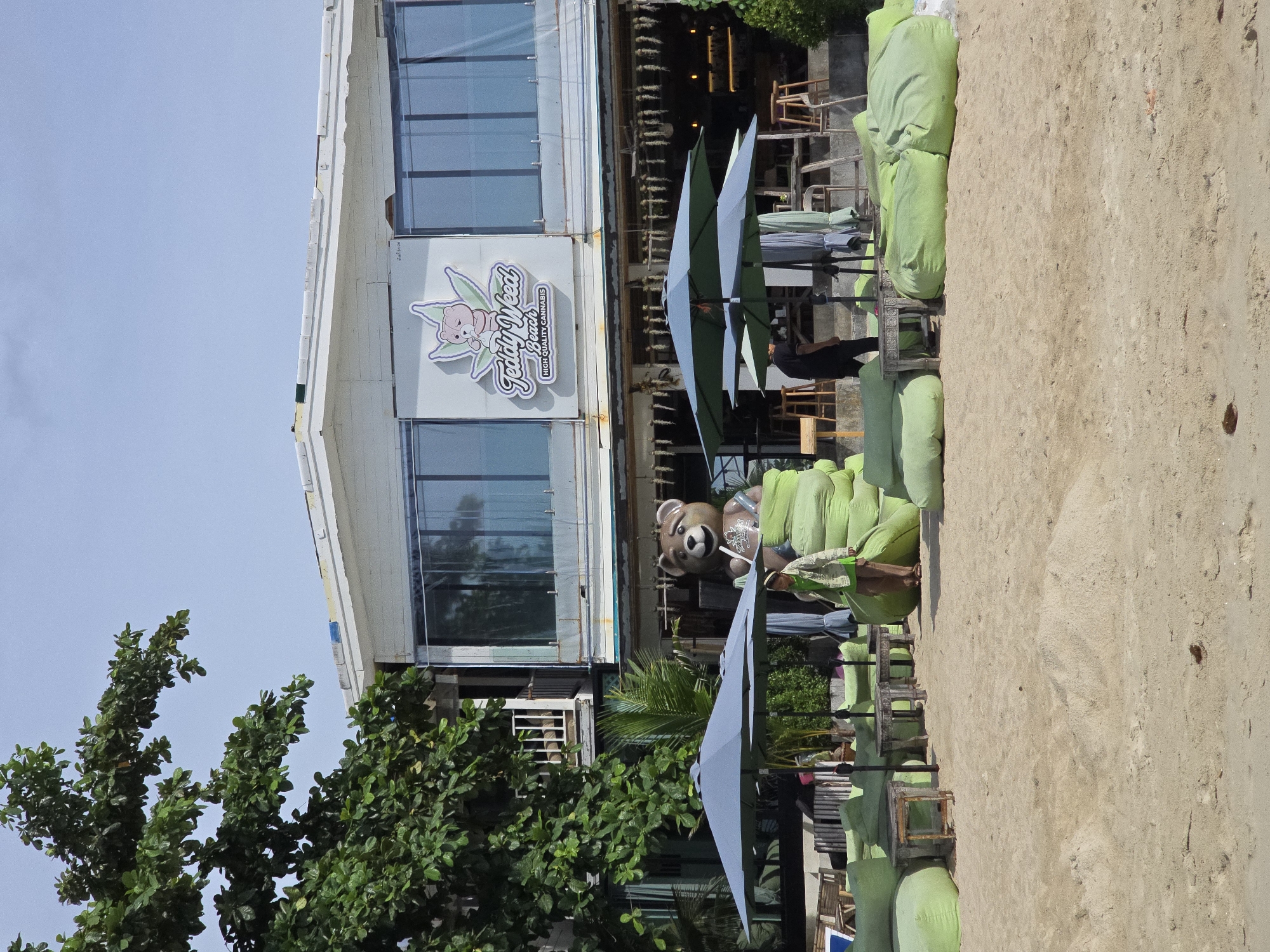 A wide shot captures a beachside establishment with a sandy foreground and a clear sky. In the mid-ground, a white building with large windows houses a business named "Teddy Weed Beach High Quality Cannabis." A large inflatable teddy bear sits in front of the building. Several large green beanbag chairs are arranged on the sand, with a few small wooden tables interspersed among them. Two umbrellas are open, providing shade over some of the seating areas. A person in a light-colored jacket and green shirt stands near the beanbag chairs, and another person in a black shirt walks away from the viewer. A tree with green leaves extends from the left side of the frame, partially obscuring the building. The environment suggests a relaxed, outdoor setting.