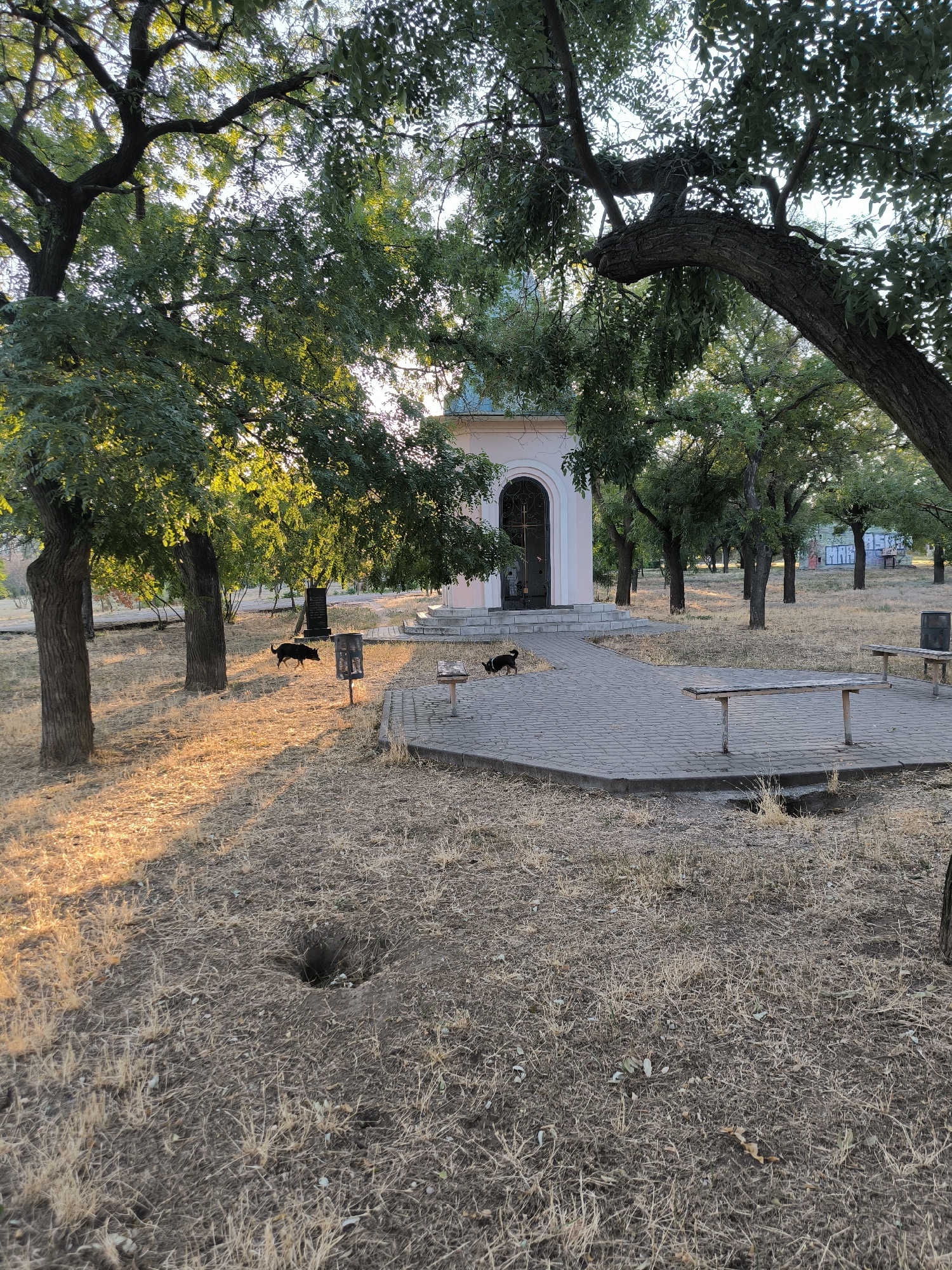 This image depicts a small, pale pink chapel with a green dome, situated within a park-like setting in Mykolaiv, Ukraine. The chapel has an arched entrance with a dark, ornate gate. A paved walkway leads to the chapel entrance, with stone steps ascending to it. In the foreground, dry, golden grass covers the ground, interspersed with fallen leaves and scattered pebbles. A small, dark hole is visible in the ground to the left of the frame. Two black dogs are present in the scene: one is walking near the chapel entrance, and another is further away, to the left of the walkway. Several trees with green foliage surround the chapel and walkway, with sunlight filtering through their branches, casting dappled shadows on the ground. There are also two wooden benches and a trash can visible in the paved area. In the background, other trees and some graffiti-covered structures can be seen, suggesting an urban or semi-urban environment. The overall atmosphere is peaceful and somewhat rustic.