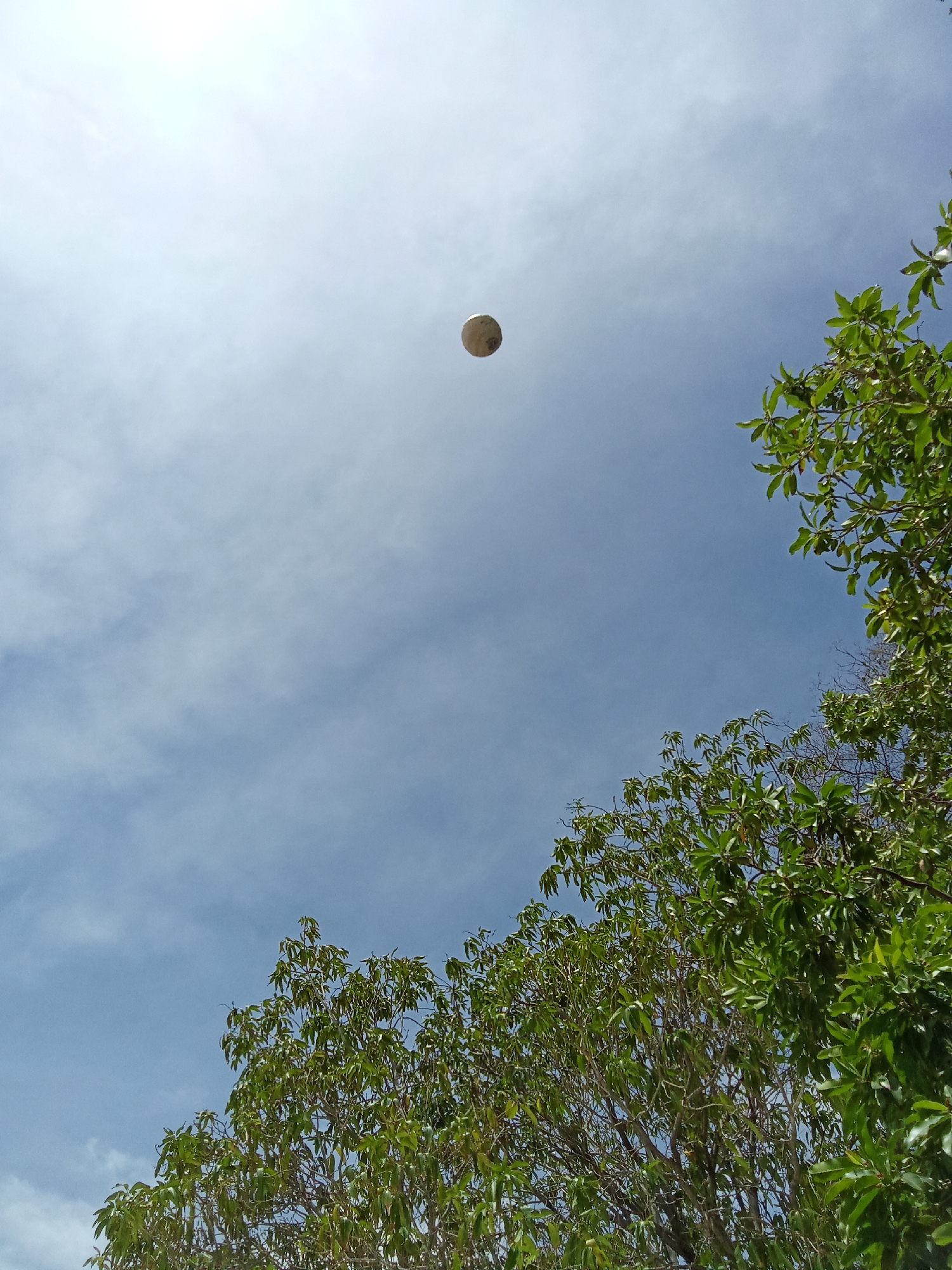 The image, taken from a low angle, shows a partially cloudy sky in Juan Griego, Venezuela. In the foreground are tree branches with green leaves. A white spherical object, possibly a ball or balloon, is floating in the sky. The lighting is bright and sunny, suggesting a daytime scene. No people are visible in the frame.