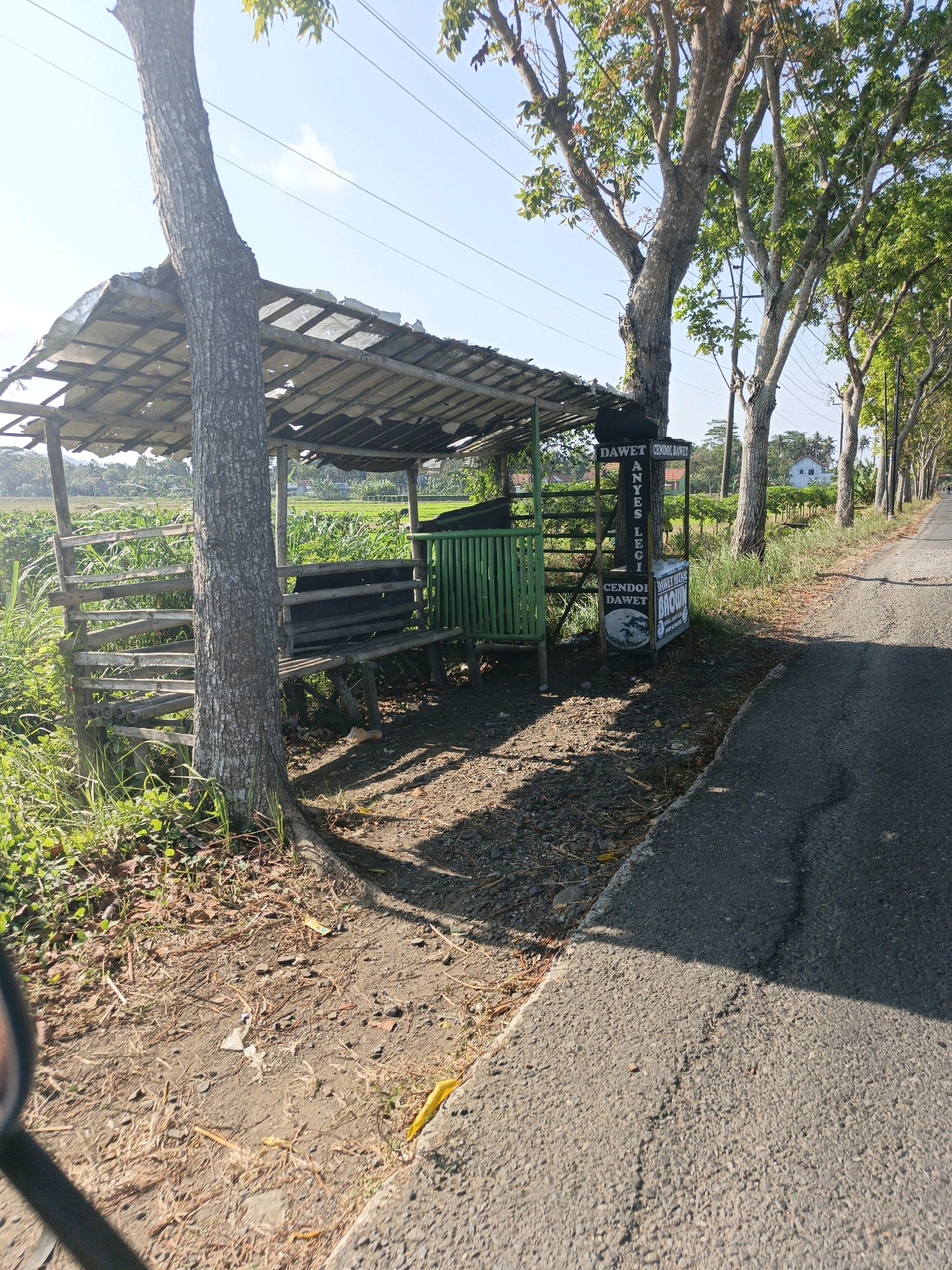 The image depicts a roadside scene in Kalipurwo, Indonesia, featuring a rustic wooden shelter with a corrugated metal roof, situated next to a paved road. A mature tree trunk pierces through the roof of the shelter, with its branches extending upwards. The shelter contains a wooden bench and a green bamboo-like barrier. In front of the shelter, a black sign with white lettering is visible, advertising "DAWET" and "CENDOL LEGIT". Adjacent to this is another sign, partially obscured, with "DAWET BROWN" on it. The ground around the shelter is covered with dirt, gravel, and dry leaves. Lush green vegetation, including tall grass and what appear to be rice paddies, is visible behind the shelter. The road, a dark asphalt surface, curves away into the distance, lined with trees. The sky is clear and blue, indicating a sunny day. No individuals are present in the immediate vicinity of the shelter.
