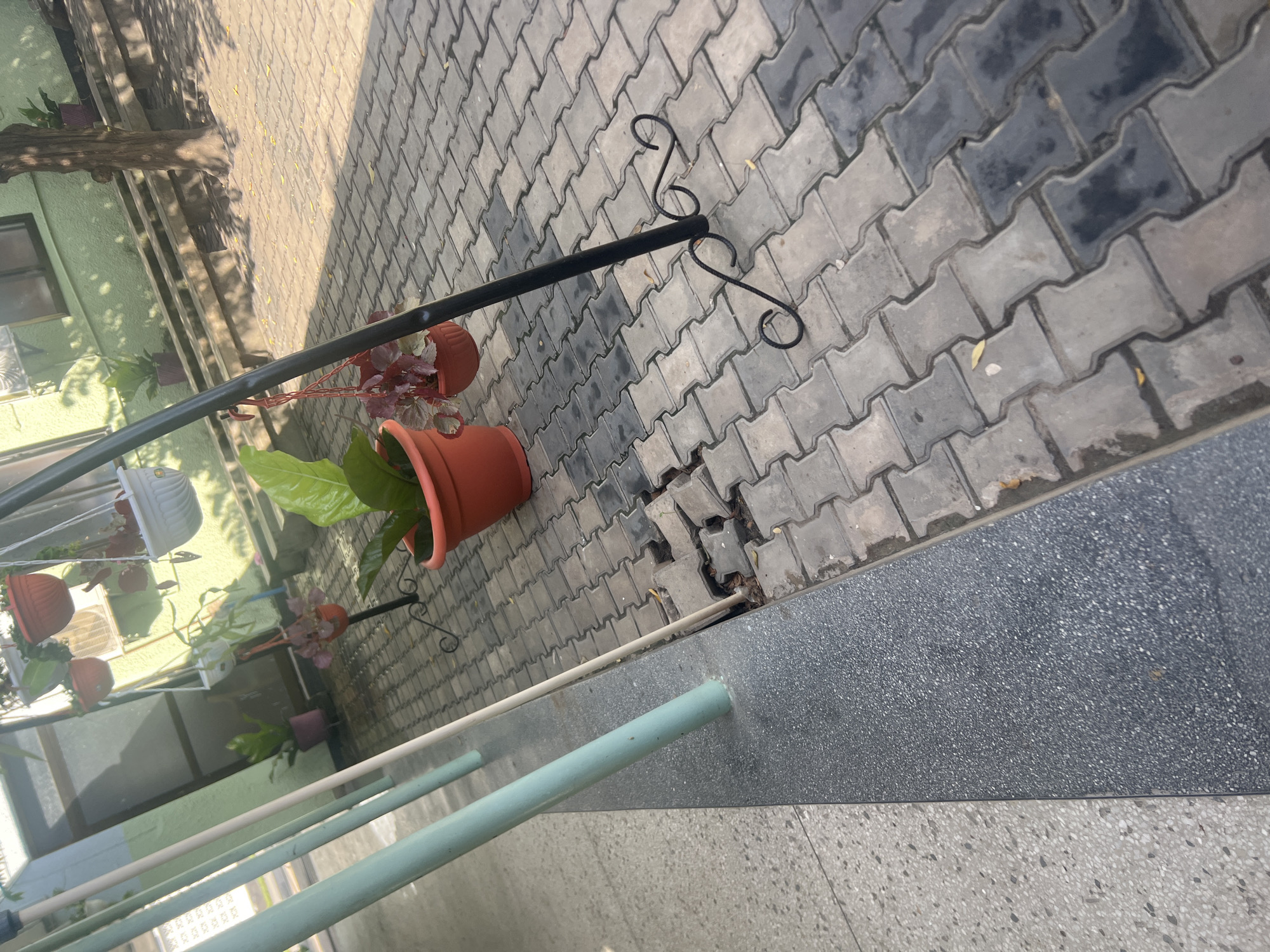 This media file presents an outdoor scene, likely a balcony or a walkway adjacent to a building, in Dar es-Salaam, Tanzania. The image is captured from a slightly elevated perspective, looking down across a varied ground surface.
The ground is composed of several distinct sections. To the left, there's an expanse of interlocking pavers, alternating between dark gray and light gray, with some patches appearing damp or discolored. A black metal pole with decorative scrolled elements at its top stands upright on these pavers. Adjacent to the pavers, towards the right, the ground transitions to a dark, speckled concrete surface, which is bordered by a lighter, similar speckled concrete area. A light blue metal railing runs horizontally across the mid-foreground, delineating these different ground textures.
Several potted plants bring life to the setting. A prominent terra cotta pot containing a lush, broad-leafed green plant sits on the pavers. Nearby, a smaller pot holds plants with reddish foliage. In the background, suspended white and terra cotta hanging pots are visible, along with other planters placed on ledges or on the ground next to a building.
The background features a light green-painted building wall, equipped with a window and an external air conditioning unit. A tree trunk is visible on the far left, casting long, distinct shadows across the pavers and parts of the building, indicative of bright sunlight during mid-morning or afternoon. No specific human activity is taking place, presenting a static and serene environment. No visible text is present in the image.
