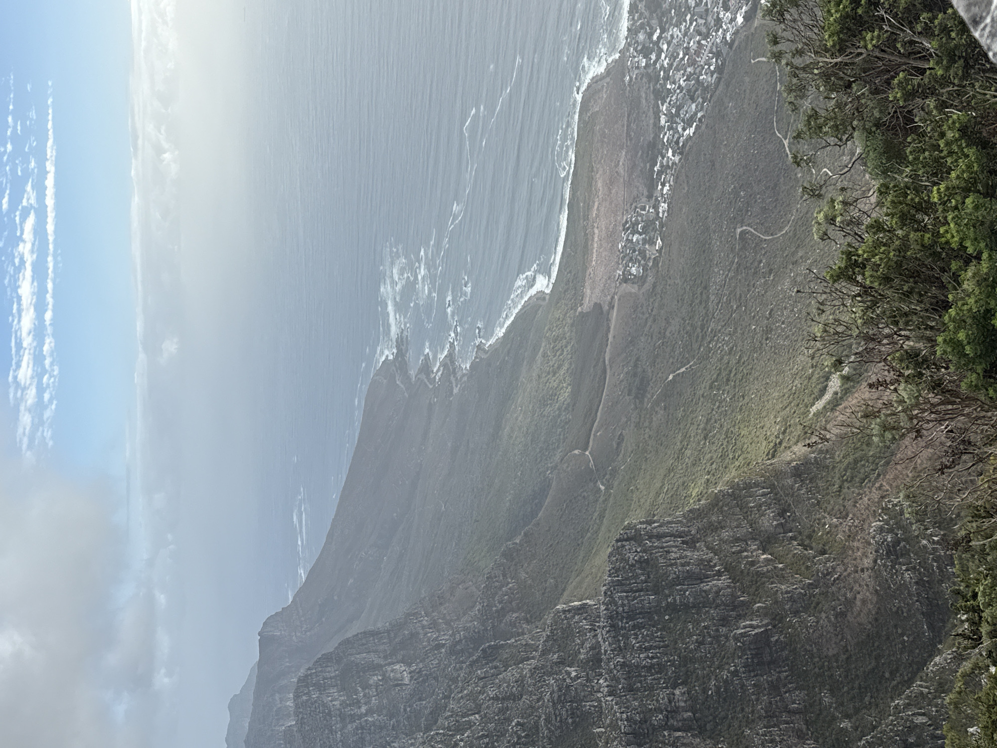 The image captures a high-angle, scenic view of the coastline and mountainous terrain of Cape Town, South Africa. The ocean, a mix of blue and white from breaking waves, borders the rugged coastline. Adjacent to the water, a verdant hillside ascends, marked by a winding path that suggests a hiking trail. Further inland, a dense collection of buildings indicates a residential area. The foreground is dominated by a steep, rocky cliff face with layered rock formations. The upper right corner features the dense foliage of trees or shrubs. A cloudy sky appears on the left, hinting at overcast conditions.