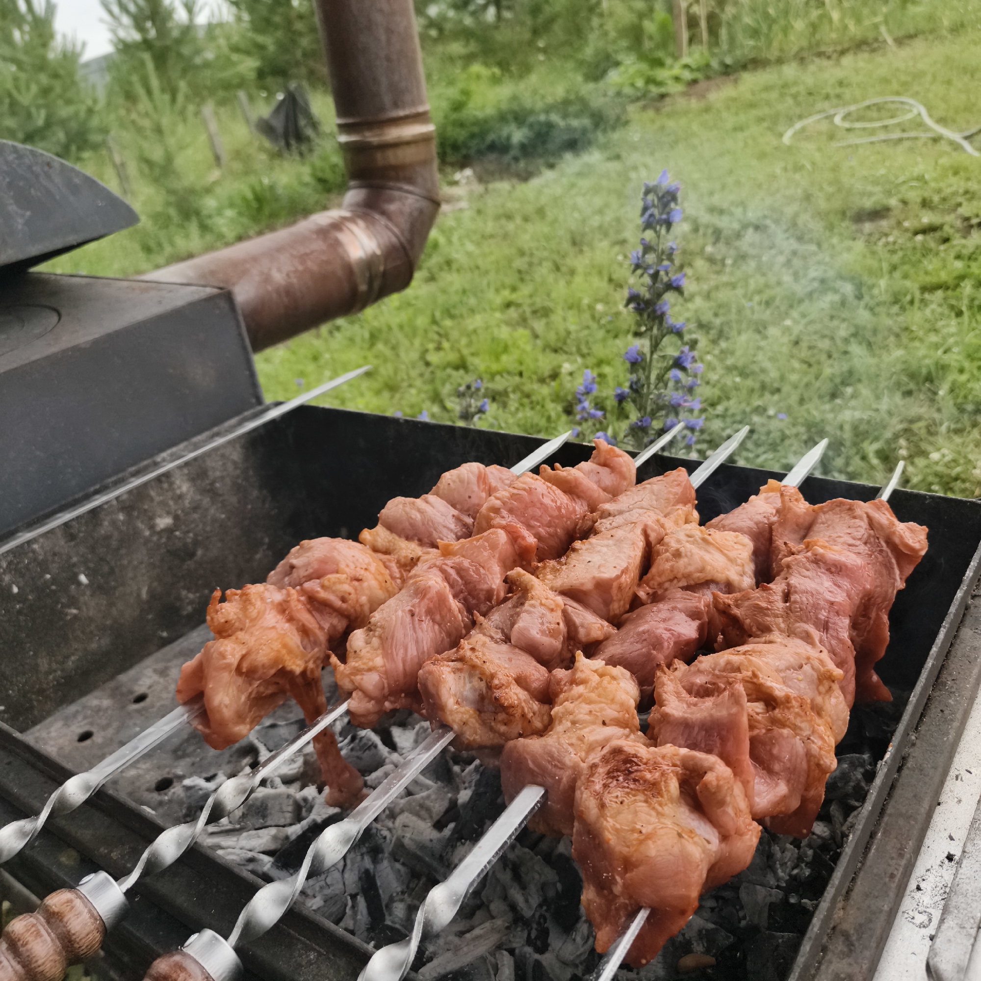 The image shows skewers of raw meat cooking on a barbecue grill. The grill is made of metal and is filled with hot coals. The meat is reddish-pink and appears to be marinated. In the background, there is a green grassy area with trees and some purple flowers. A metal pipe extends from a structure on the left side of the image, possibly part of the barbecue setup or a nearby building. The scene suggests an outdoor cooking event, likely in a suburban or rural setting. There are no people visible in the image.