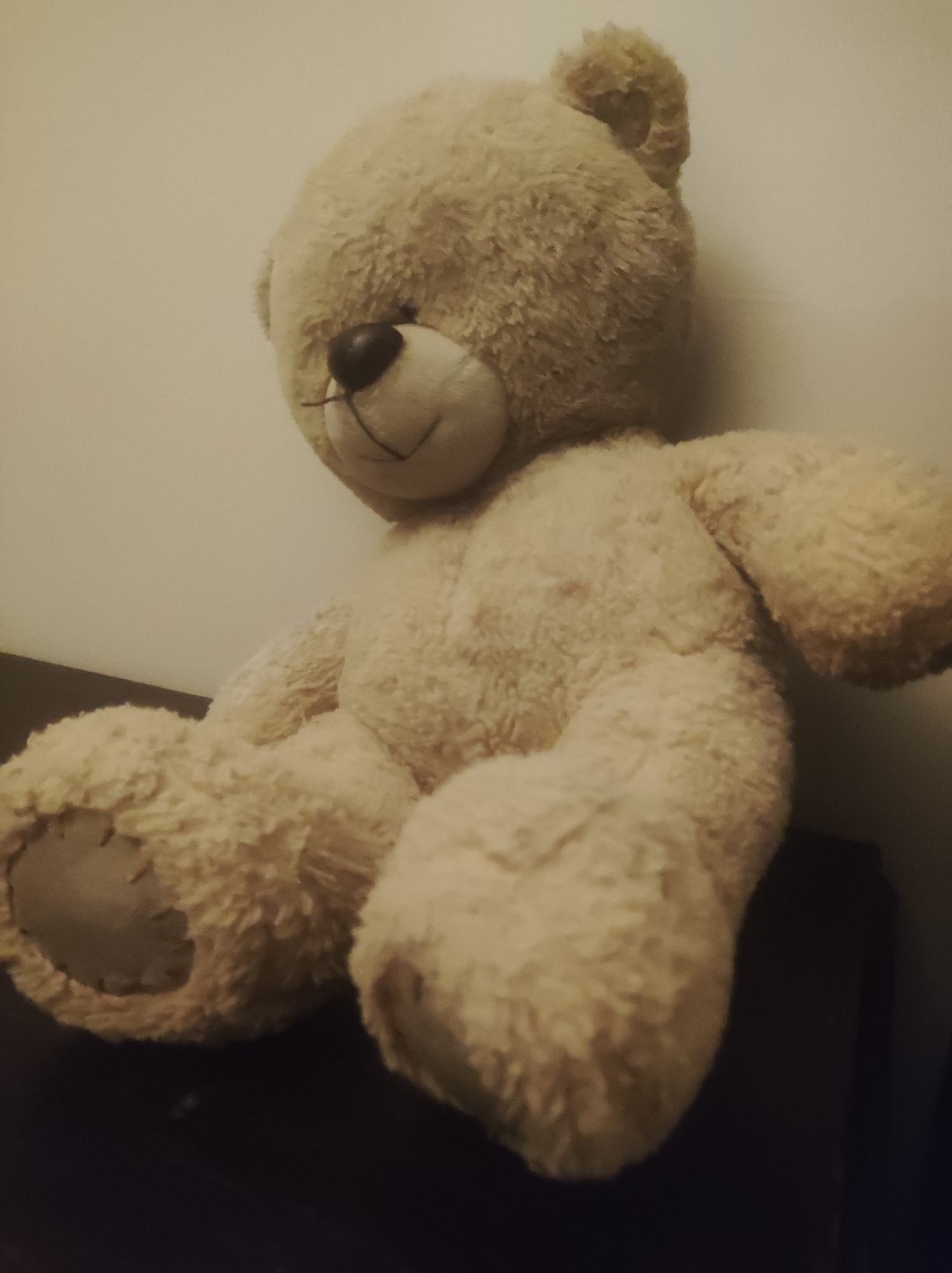 A light beige teddy bear is positioned in the foreground of the image, seated on a dark surface, possibly a table or shelf. The teddy bear faces to the left, with its head slightly turned towards the viewer. Its eyes are not clearly visible, but its dark nose and embroidered smile are distinct. The bear's fur appears soft and plush, with visible stitching on its paws. Behind the bear, a plain, light-colored wall serves as the backdrop, with the lighting casting a slight shadow to the right of the bear. The overall mood is calm and still, with no activity taking place. The image appears to be taken indoors, given the absence of natural light cues and the indoor setting suggested by the wall and furniture. There is no visible text in the image.