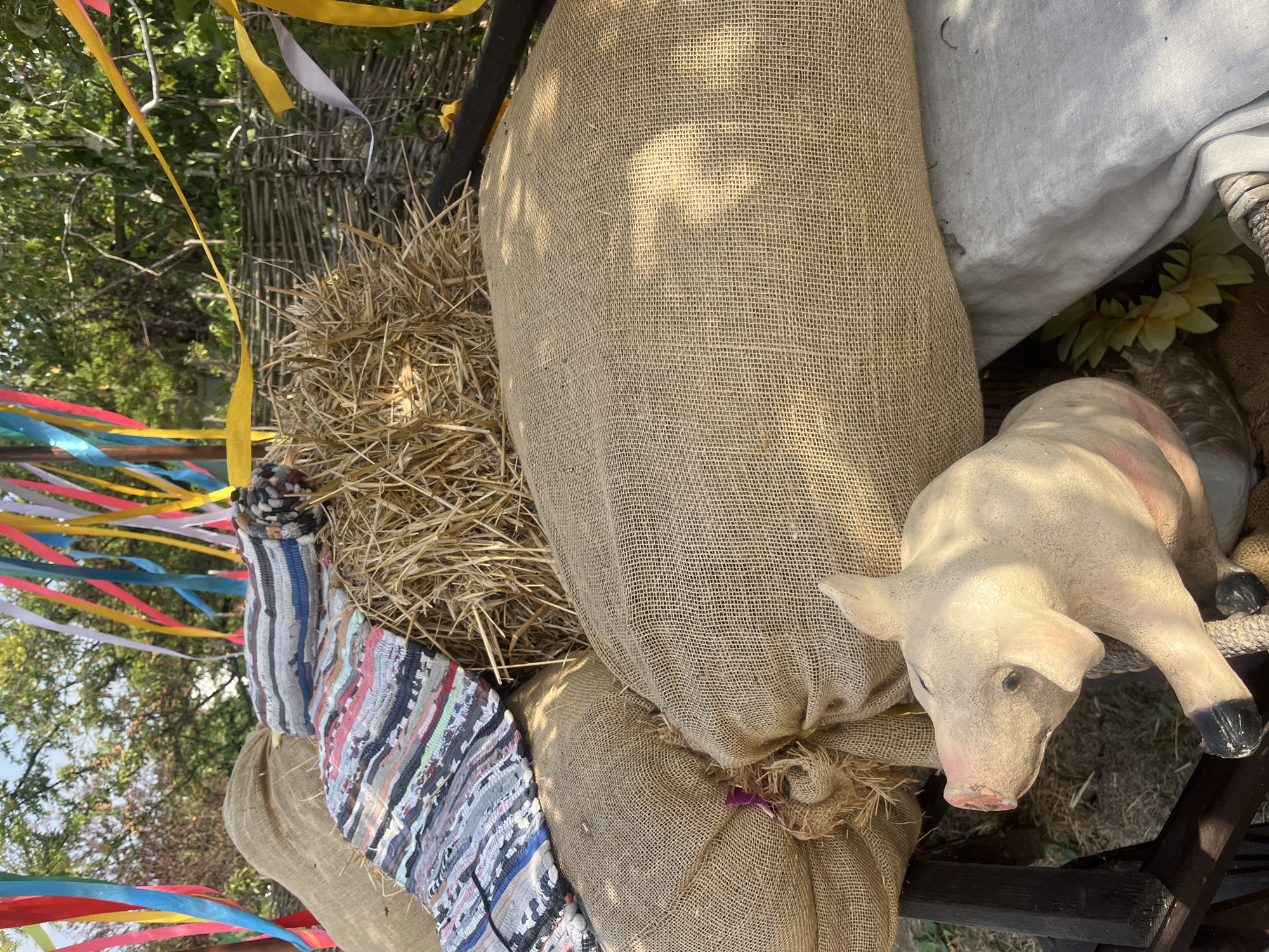 The image depicts a festive outdoor scene in Taman', Russia, likely for a harvest festival. In the foreground, a light-colored pig statue with pink ears and snout is positioned next to large burlap sacks filled with what appears to be grain or hay. A woven rug with colorful stripes is draped over a bale of hay, which is behind the burlap sacks. Colorful ribbons, in shades of red, yellow, blue, and white, are strung across the upper portion of the image, adding to the celebratory atmosphere. The background features a woven wooden fence and the natural greenery of trees, suggesting an outdoor rural or park setting. The lighting indicates it is daytime, with sunlight casting shadows on the burlap sacks. No people are visible in the image.