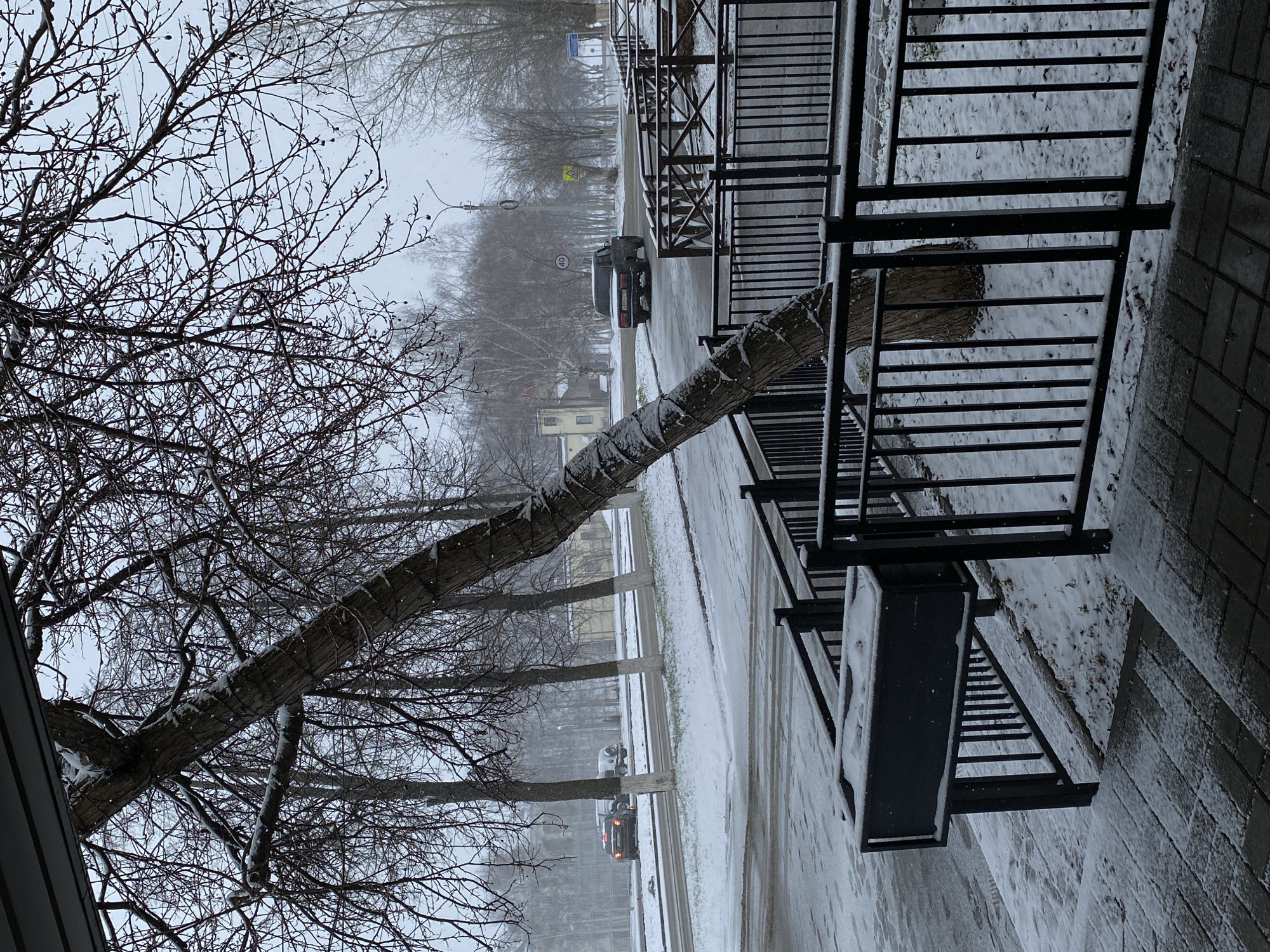The image shows a snowy street scene in Votkinsk, Russia. A bare tree branch, lightly dusted with snow, extends across the left side of the frame, partially obscuring the view. A black metal railing and fire escape are visible on the right, also lightly covered in snow. The street is wet and slushy, with parked cars visible in the distance. The sky is overcast, suggesting active snowfall. No people are visible in the frame.