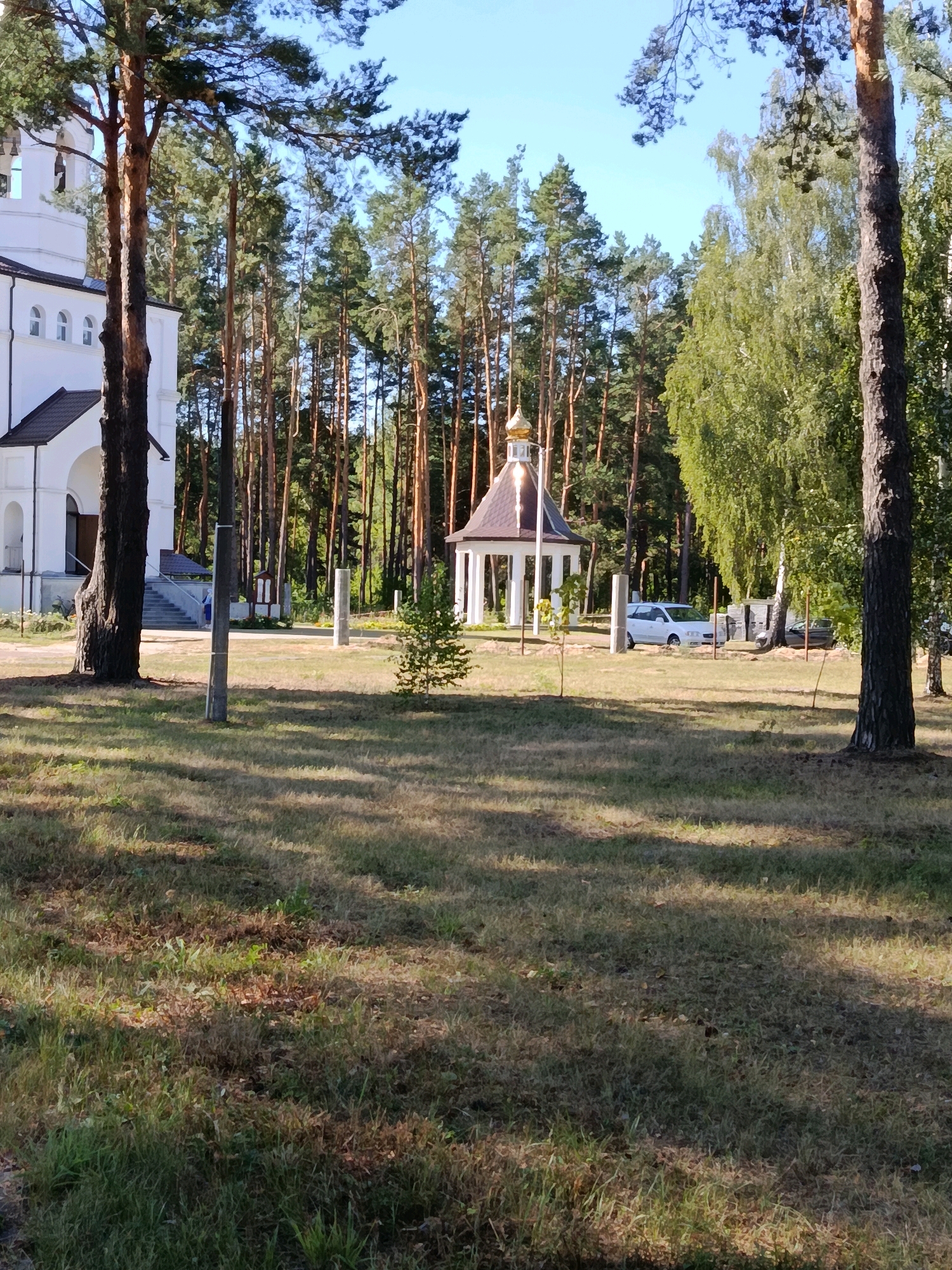 The image depicts the territory of the Holy Assumption Monastery in Svietlahorsk, Belarus, on a sunny day. In the foreground, a grassy area with shadows from trees is visible. In the mid-ground, a white building, possibly a church or part of the monastery complex, stands to the left. Adjacent to it is a small, ornate gazebo with a golden dome. Further to the right, a white car and a darker car are parked. The background is dominated by a dense forest of pine trees. A few stone columns are also scattered across the grounds. The sky is clear and blue. There is no visible interaction between any people or objects.