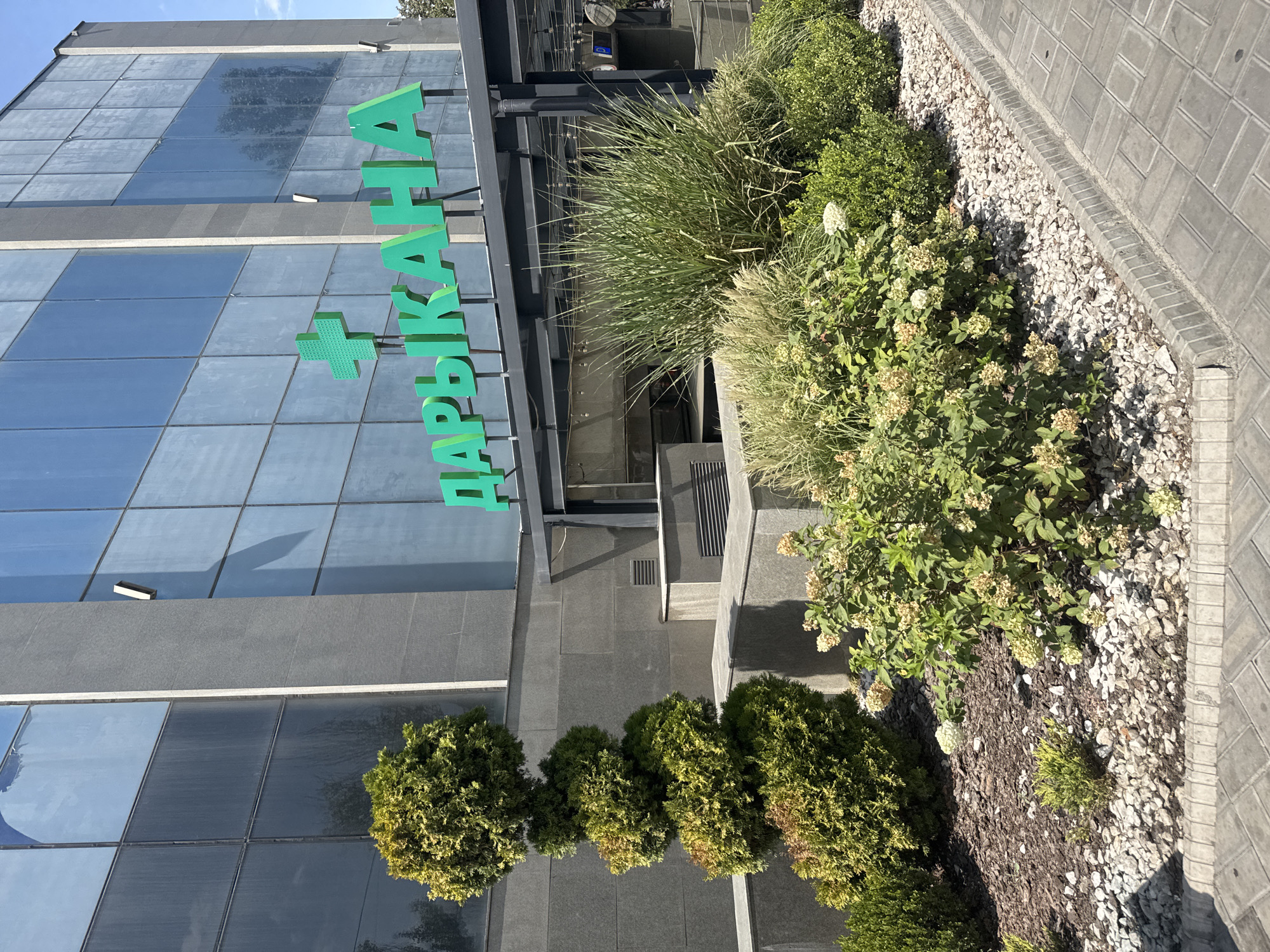A pharmaceutical store's signage is visible on a modern building with a glass facade. The sign, written in green Cyrillic letters, reads "ДАРЫКАНА," meaning pharmacy. A green cross symbol is also prominently displayed next to the text. In front of the building, landscaping includes a spiral-shaped evergreen tree, ornamental grasses, and flowering shrubs. The area is paved with light-colored brick pavers and features a stone border. The scene appears to be in Bishkek City, Kyrgyzstan, given the Cyrillic lettering. The lighting suggests it is daytime. There are no people visible in the image.