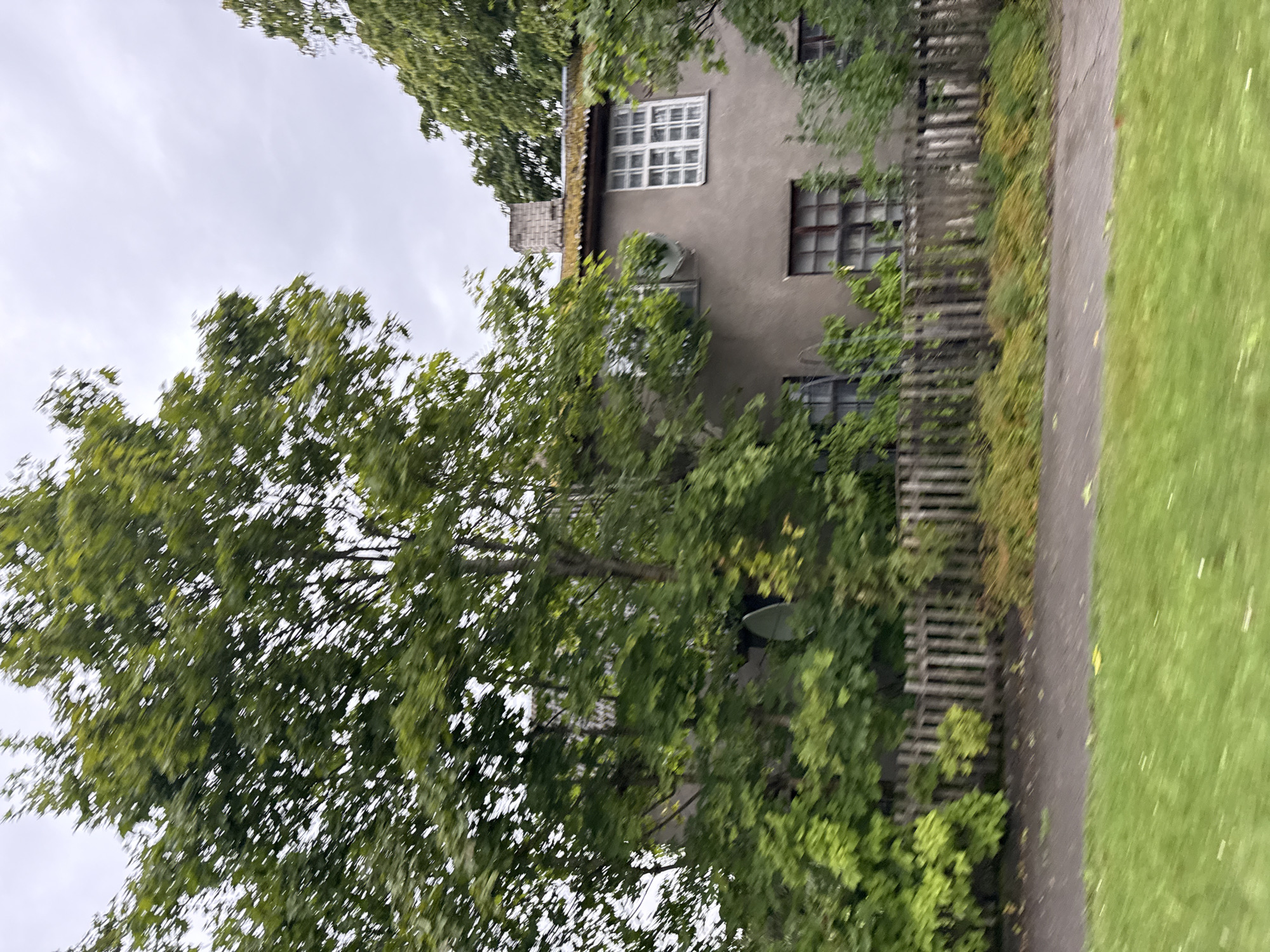 A two-story building with a grey stucco facade is partially obscured by lush green trees and foliage. The building has several windows, including a large one on the upper floor with a grid of small panes. A brick chimney rises from the roof, which appears to be covered with a weathered material. A dilapidated wooden fence runs horizontally across the mid-ground, separating the building from a pathway and a grassy lawn in the foreground. A satellite dish is visible on the side of the building. The sky is overcast. The scene suggests a residential area in Tallinn, Estonia, with mature trees and a somewhat aged infrastructure.