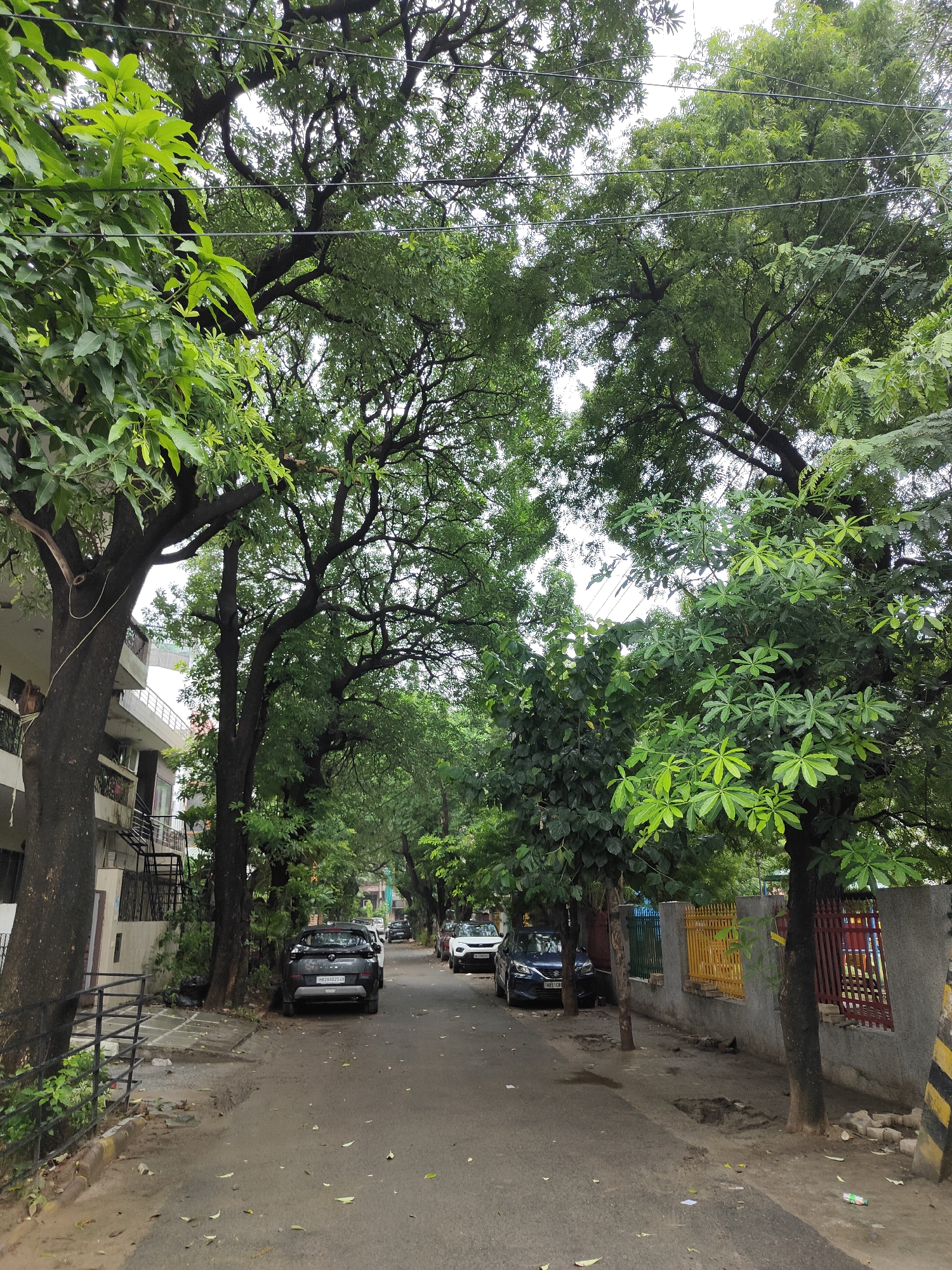 The image depicts a street in Gurgaon, India, lined with mature trees and a residential building on the left. The street is paved and has some fallen leaves. Several cars are parked along the roadside. On the right side of the street, there is a grey concrete wall with a colorful fence made of yellow, green, and red vertical bars. The sky is overcast.