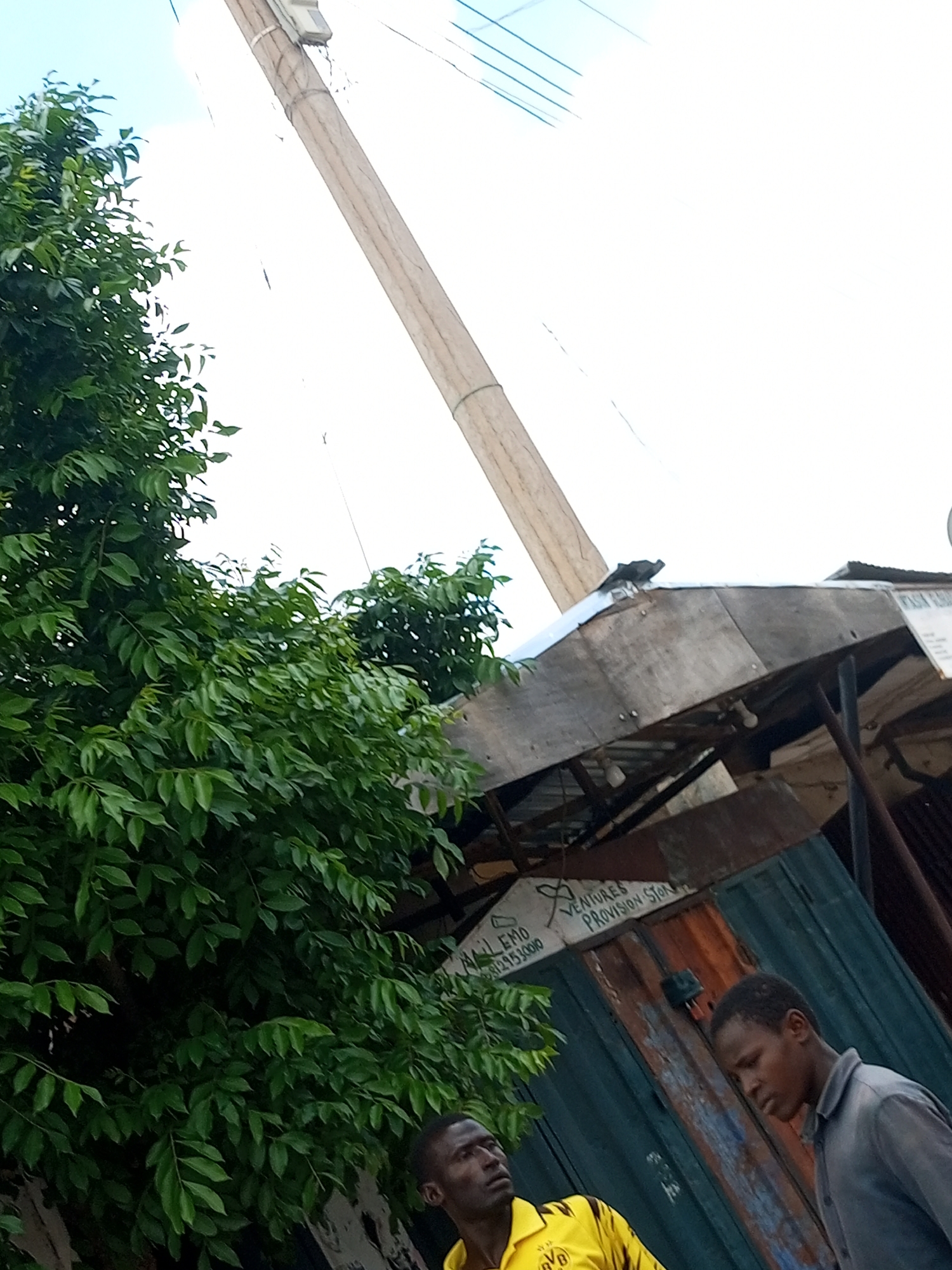 In Arawa, Nigeria, a scene unfolds under a bright sky. A large, leafy green tree dominates the left side of the frame, its branches obscuring a portion of the background. To the right, a weathered wooden structure with a corrugated metal roof is visible, appearing to be a small shop or stall. Two young men are present. One, wearing a yellow shirt with a black collar, looks upwards and to the left. The other, in a grey shirt, looks downwards and to the right. A utility pole, made of wood, extends diagonally upwards from the bottom of the image towards the top. Signs with text are partially visible on the wooden structure, including "VENTURES PROVISION STOR" and what appears to be a phone number. The overall impression is of an outdoor scene in a populated area, possibly a market or a street in Arawa.