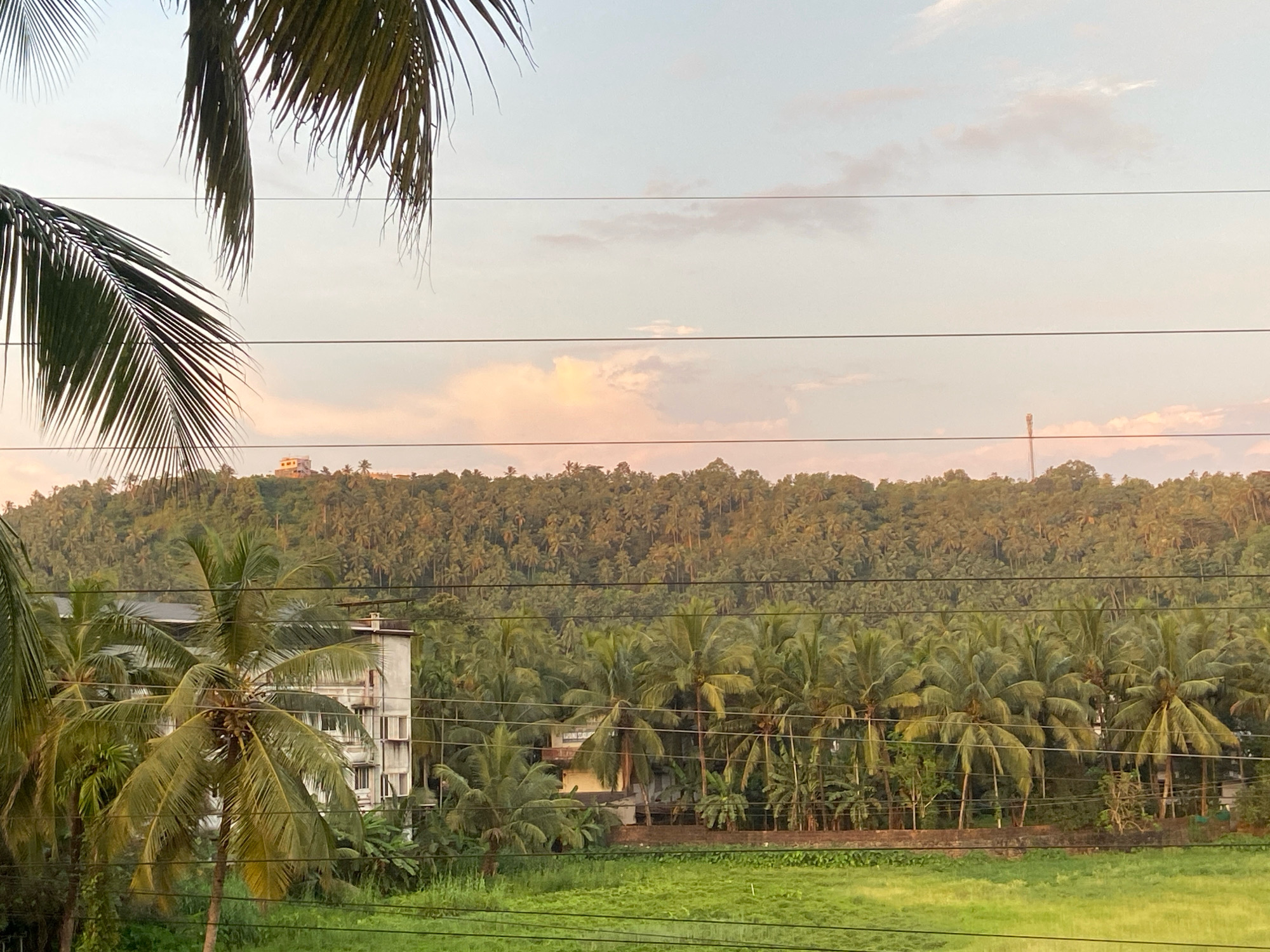 The image depicts a lush green landscape in the city of Malappuram, India, under a soft, pastel-colored sky. In the foreground, several palm trees, their fronds swaying gently, frame the view. To the left, a multi-story building with white walls and numerous windows is visible, partially obscured by the palm trees. Behind the building and the trees, a dense forest covers a gently sloping hill. A few structures are scattered on the hilltop, with one prominent white building appearing to be on the highest point. The sky is a soft gradient of pale blue and pink, with a few wispy clouds adding texture. Power lines crisscross the frame horizontally, dividing the sky and the landscape. A vibrant green field lies in the middle ground, bordered by a low wall. The overall impression is one of a serene, tropical setting.