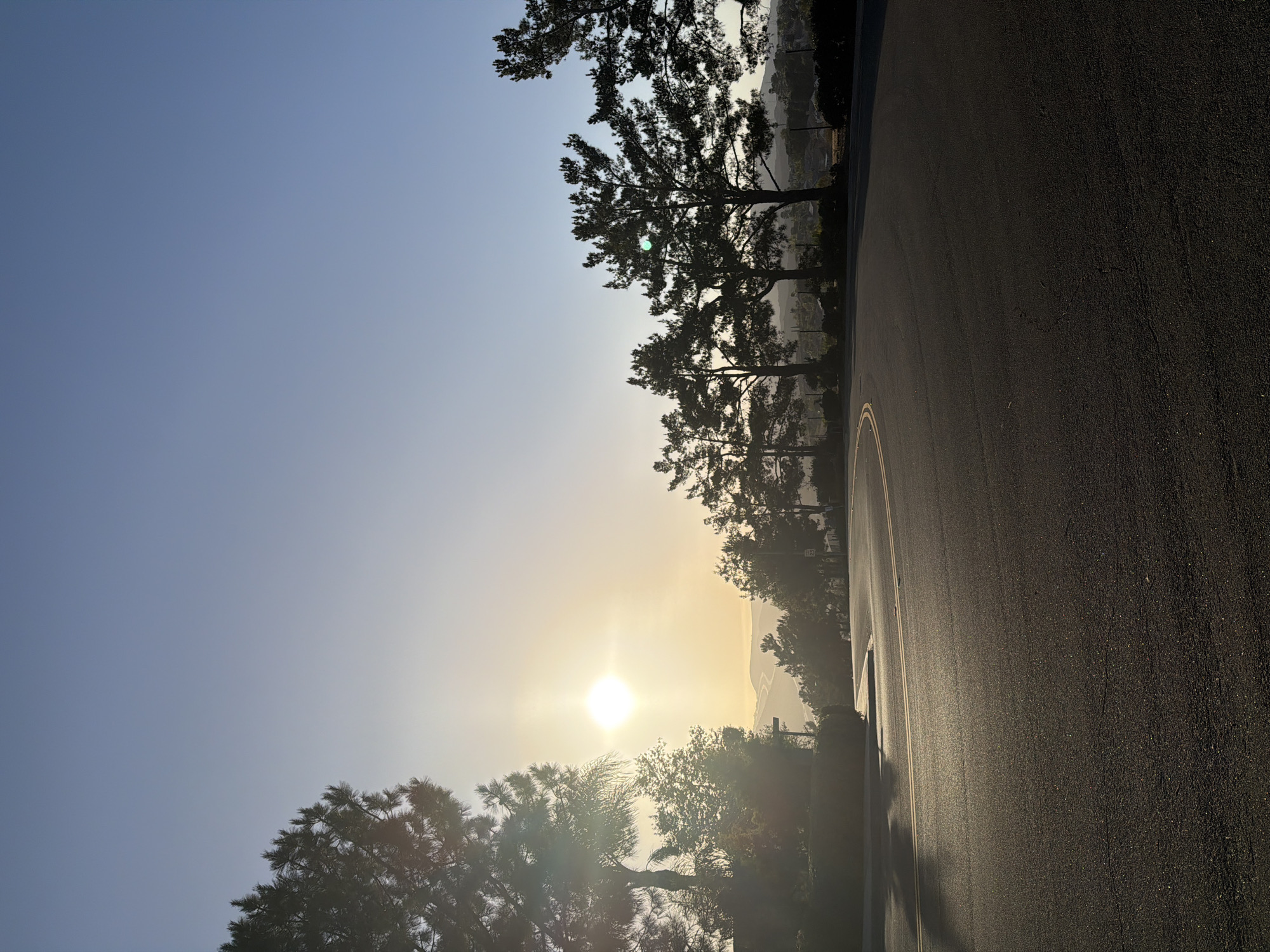 The image captures a view of a curved asphalt road with yellow lane markings in Aliso Viejo, California, USA. The sun is setting on the left side of the frame, casting a warm glow and lens flare across the scene. Silhouetted trees, including pine trees, line the right side of the road and form a dark border against the clear, pale blue sky. Distant hills are visible in the background, softened by the haze of sunset. The road surface appears to be in good condition, with some reflections of light on its surface. There are no people or vehicles visible in the image. The overall atmosphere is serene and natural, typical of a suburban or semi-rural setting.