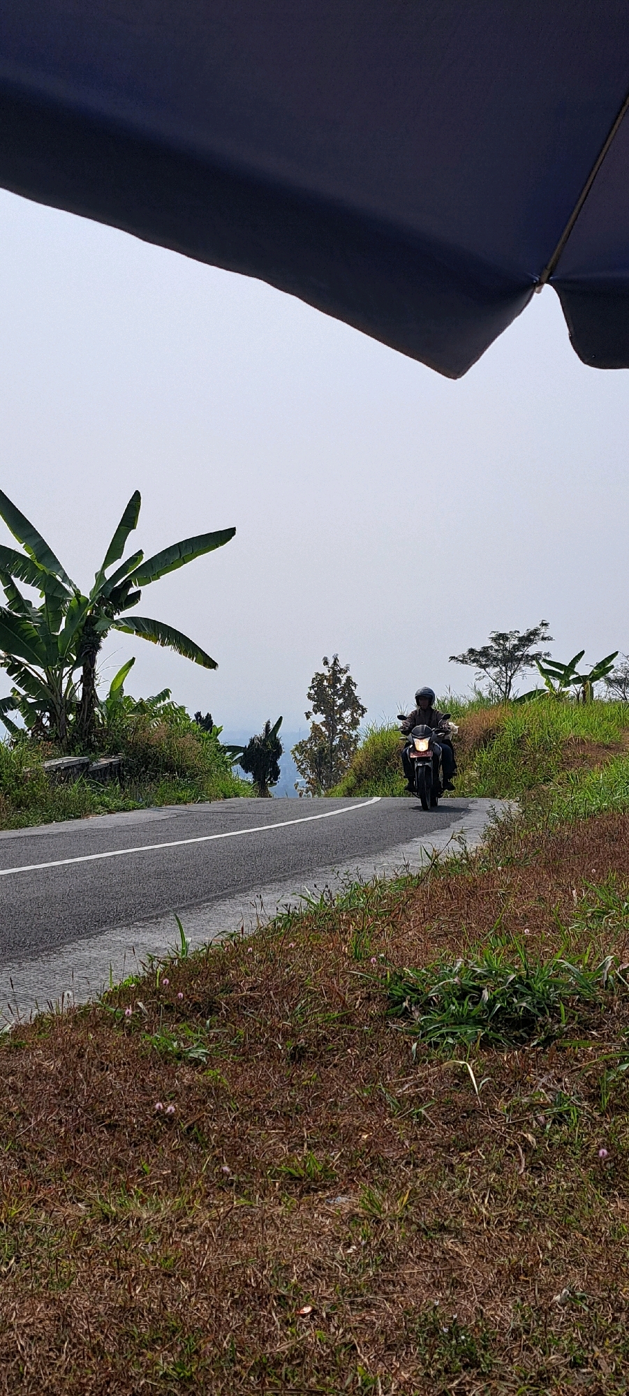 A person wearing a helmet rides a motorcycle on a paved road that curves to the right, seen from a low-angle perspective. The road has a white line down the center and is bordered by dry grass and some green vegetation. In the background, there are banana trees and other foliage, with a hazy sky above. A dark, out-of-focus object, possibly an umbrella or awning, occupies the top portion of the frame. The scene appears to be a rural or semi-rural area in Sekarjoho, Indonesia, suggesting a road traversing a hilly landscape.