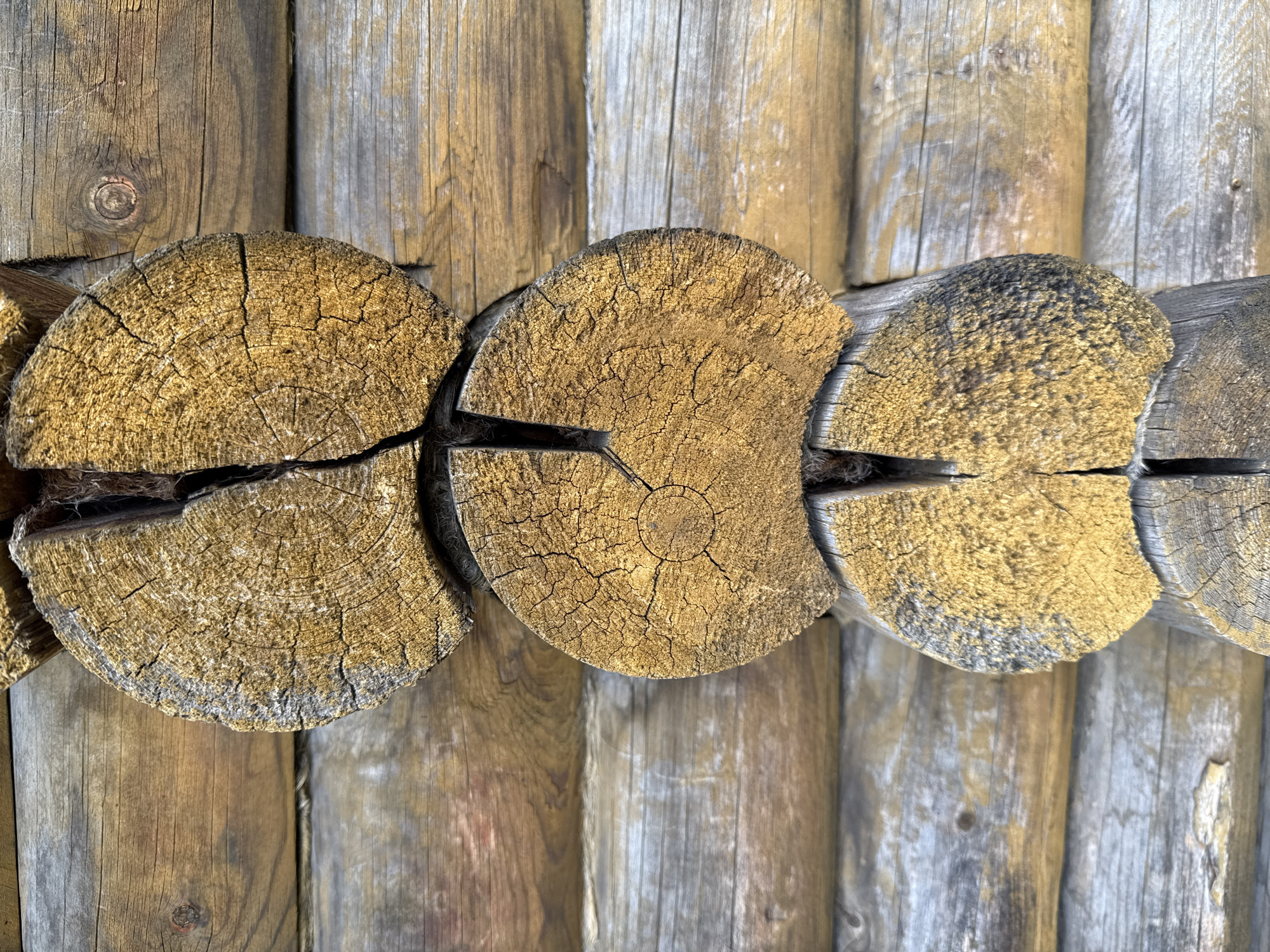 The image shows a close-up of the corner of a wooden log house. Three round logs are visible, stacked vertically. Each log has a visible crack running down its center. The logs are a golden-brown color and appear weathered. The background consists of horizontal wooden planks, also weathered, in varying shades of brown and gray. The scene is devoid of any people or activity. The location provided is Baryshevo, Russia, which suggests this is a detail of a rural or traditional dwelling in that region.