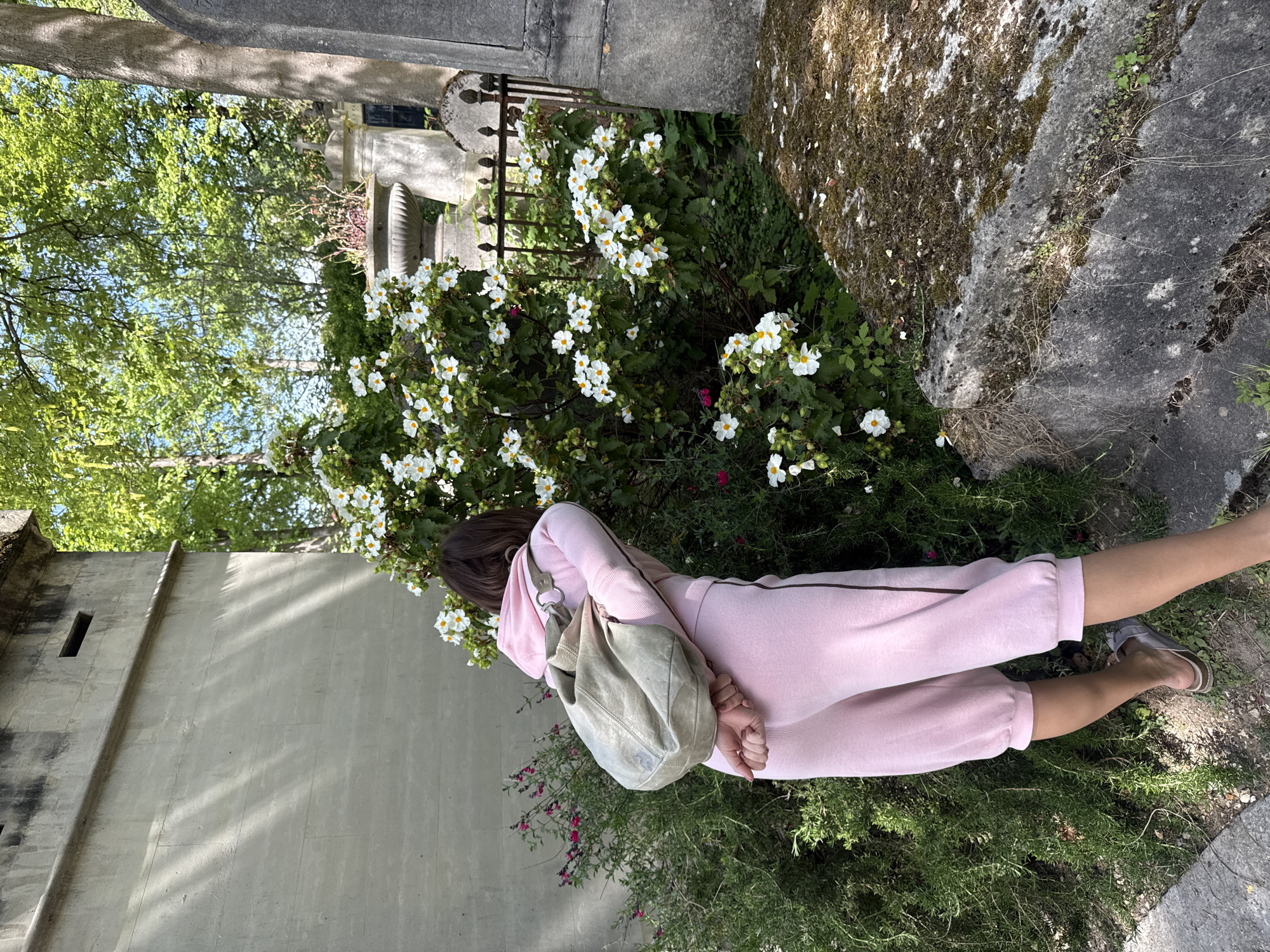 A woman lies prone in a garden adjacent to a stone building. She wears a pink sweatsuit and light-colored sandals, and carries a worn, gray leather hobo-style shoulder bag. Her face is obscured. The setting includes a profusion of white flowers with yellow centers, iron fencing, a mossy rock, and various plantings. This photograph was taken in Père Lachaise Cemetery, Paris, France.