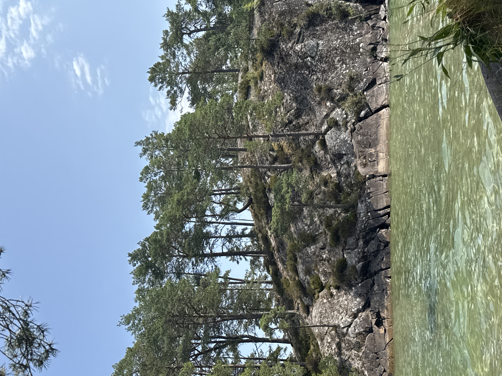 The image depicts a rocky shoreline with pine trees on a sunny day. The water in the foreground is a clear, light green color, with ripples on its surface. The rocky bank is covered in patches of vegetation, and tall pine trees with dark green needles grow along the top and sides of the bank. The sky above is a clear, pale blue with a few wispy white clouds. The scene suggests a natural, undeveloped landscape. This location is likely a section of the shore along Lake Vättern near Karlsborg, Sweden, known for its rocky coastlines and pine forests.