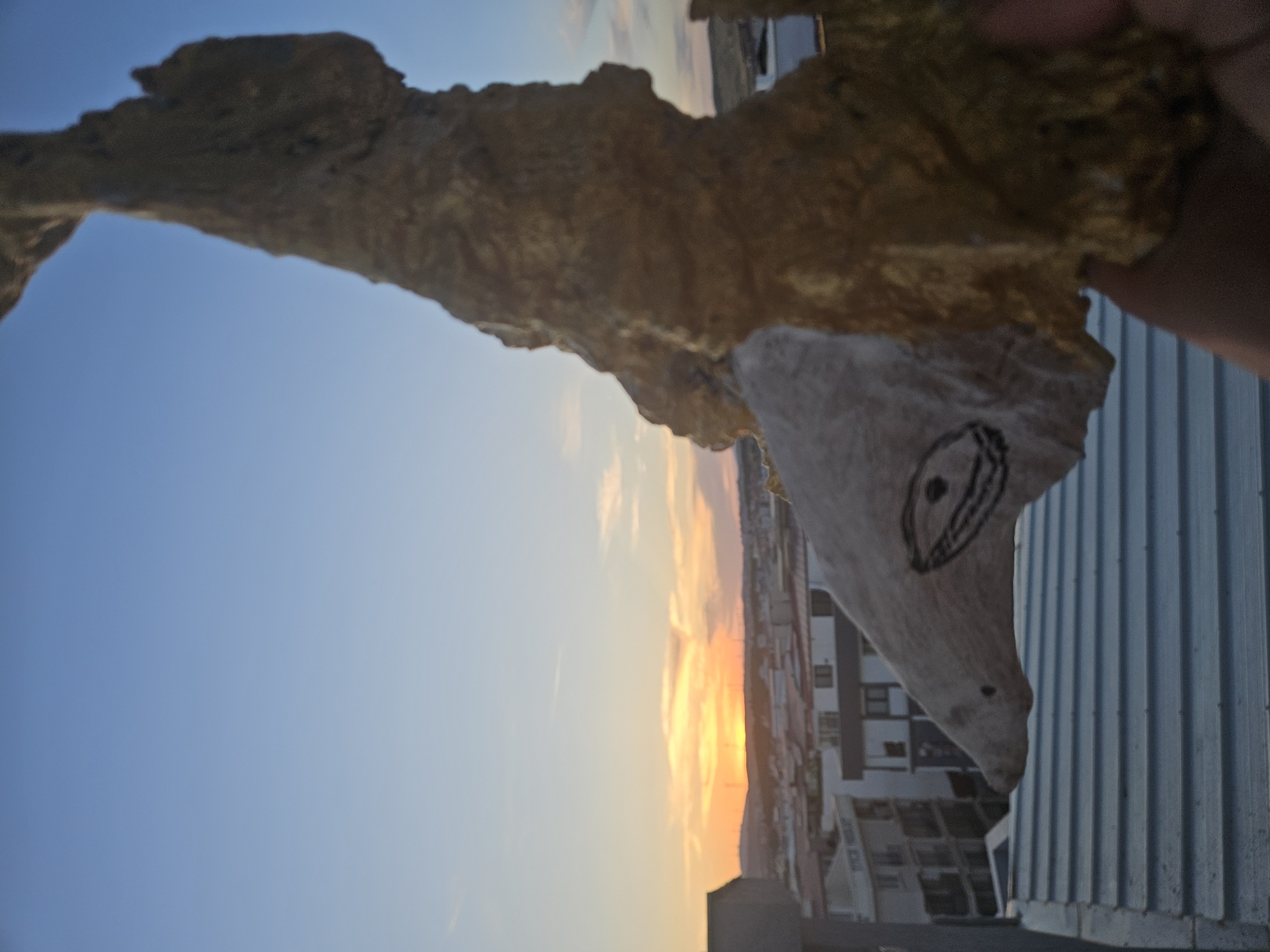 A close-up shot of a sculpted piece of wood, resembling a stylized fish head, is held in front of a sunset view over the city of Seferihisar, Turkey. The wood carving has a dark line drawing of an eye and mouth on its left side. The carving is positioned in the foreground, obscuring some of the distant cityscape. The background reveals a hazy sunset with orange and yellow hues illuminating a cluster of buildings and hills. The sky above is a clear, pale blue. The wooden sculpture has a textured, rough surface, with a portion of it painted a golden brown. In the bottom right corner, a hand is visible, holding the carving. The carving is placed on top of a metal, ribbed surface, likely a rooftop.