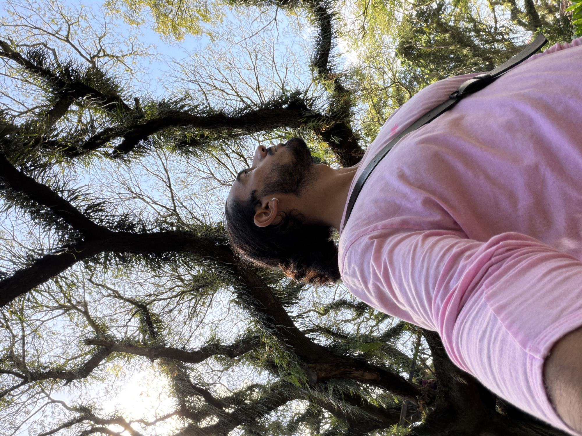 A low-angle, medium shot captures a person with dark, shoulder-length hair and a beard, wearing a pink long-sleeved shirt, in an outdoor setting. The person is looking upwards, with their head tilted to the right. A black strap, likely from a bag, crosses their chest. The background is dominated by the branches of large trees, some of which are adorned with epiphytic plants, creating a dense canopy against a bright, blue sky. The sunlight filters through the leaves, casting a bright glow. The scene appears to be located in Sraten, Indonesia, judging by the lush, tropical vegetation.