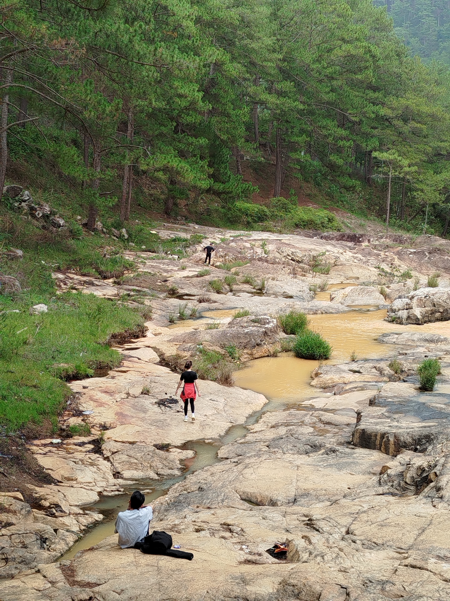 This image presents a natural landscape in Păng Tiêng 1, Vietnam, featuring a rocky riverbed flanked by a dense pine forest. The upper portion of the frame is dominated by a hillside covered in numerous tall, green pine trees, creating a lush backdrop.
The mid-ground and foreground reveal a rugged, light-colored rocky terrain, through which a shallow, muddy brown stream meanders. The rocks are varied in size and shape, forming natural channels and small pools for the water. Patches of vibrant green grass and small bushes are scattered across the rocky expanse and along the stream's edges.
Three individuals are present in the scene, engaging with the environment. Towards the upper mid-ground, a person in dark clothing walks away from the viewer along the rocky path. Closer to the foreground, another person, wearing a black top, a prominent red skirt or wrap, and light-colored shoes, also proceeds away from the camera on the uneven rock surface. In the lower left quadrant, a third individual is seated on a large flat rock, facing the stream and the opposite bank. This person wears a light-colored t-shirt and dark trousers, with a black bag, possibly a guitar case, resting beside them.
The scene is illuminated by soft, diffused daylight, suggesting either an overcast sky or early morning/late afternoon conditions, as evident by the lack of harsh shadows. The overall impression is one of peaceful exploration or relaxation within a natural, somewhat wild setting. There is no visible text in the image.