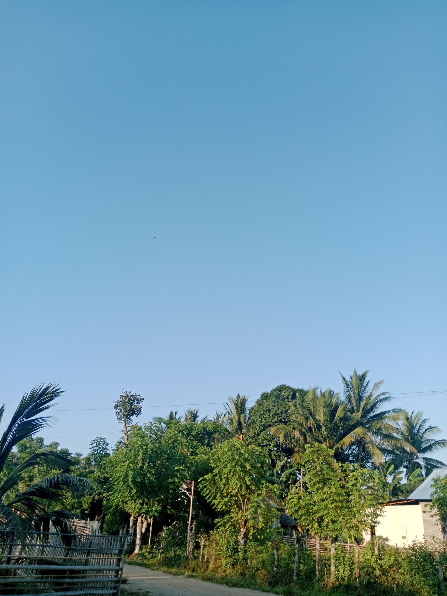 This image captures a rural scene in Lakea Satu, Indonesia, under a clear blue sky. The foreground features a dirt road leading into a dense area of lush green trees, including palm trees and other foliage. To the left, a bamboo fence runs along the side of the road. Further into the scene, several residential structures are partially visible, characterized by light-colored walls and simple roofs. The overall impression is one of a tranquil, sunlit day in a tropical, undeveloped area.