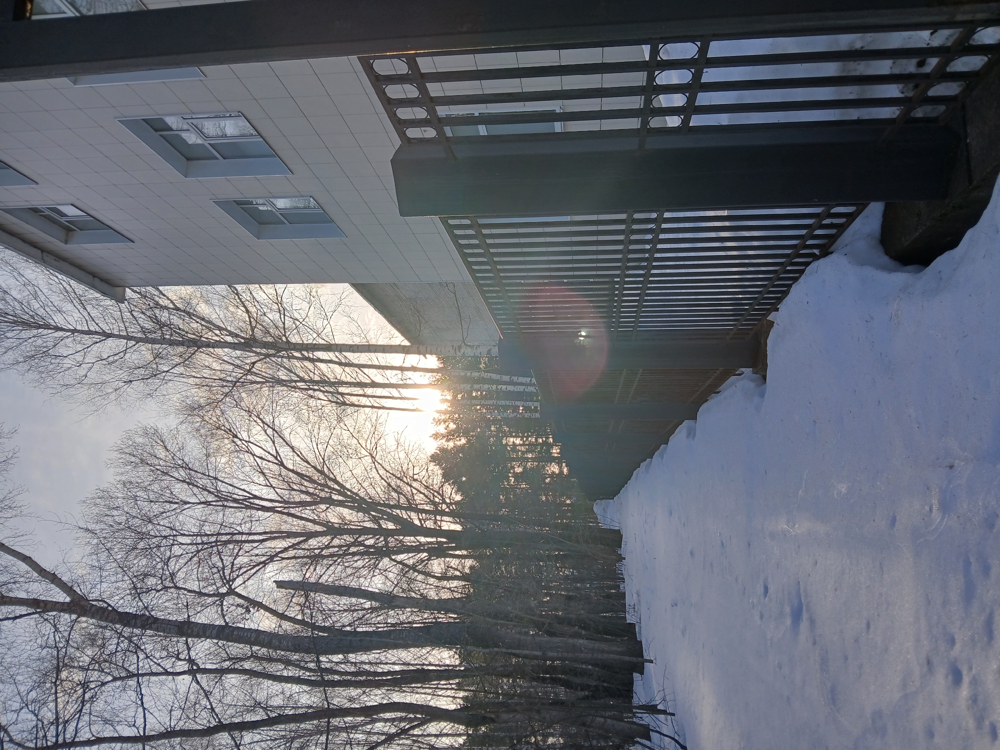 The image captures a winter scene, likely in Chaikovsky, Russia, given the architecture and environment typical of the region. A modern, multi-story building with a tiled facade and rectangular windows is visible on the left. The building is partially obscured by bare trees and a metal railing, which may be part of a fence or balcony. The sun shines brightly through the trees, creating lens flare. To the right of the railing, a large expanse of snow covers the ground, indicating a significant snowfall. The lighting suggests it is either early morning or late afternoon. The scene appears still, with no people or animals immediately apparent.