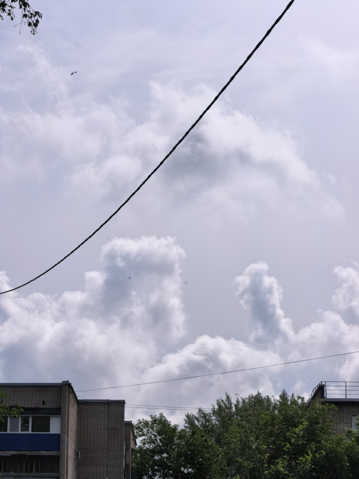 This image captures an outdoor scene, looking upwards towards a predominantly cloudy sky, with elements of an urban or suburban environment in the lower portion.
The main subject is the sky, filled with numerous large, greyish-white cumulus clouds that appear somewhat thick and dispersed, suggesting a bright but possibly overcast day. A prominent, thick black electrical or utility cable runs diagonally from the top left corner down towards the middle right, cutting across the cloudy expanse. Several small birds are visible in flight within the sky, particularly in the upper left and central areas. There are also numerous tiny, almost imperceptible specks scattered across the sky, which could be distant insects or very small birds.
In the bottom third of the frame, parts of two buildings, likely apartment blocks, are visible. The building on the left features a brick facade, white-framed windows, and a blue balcony or awning. The building on the right is also brick and has a flat roof with a metal railing structure. Lush green trees are situated between and in front of the buildings, obscuring some of their lower sections. The overall setting implies a residential area in Sterlitamak, Russia, consistent with the architecture observed.
The time of day is clearly daytime, indicated by the overall brightness and illumination of the clouds. The weather appears partly cloudy. No specific activity beyond the birds flying is occurring. There is no visible text in the image.
