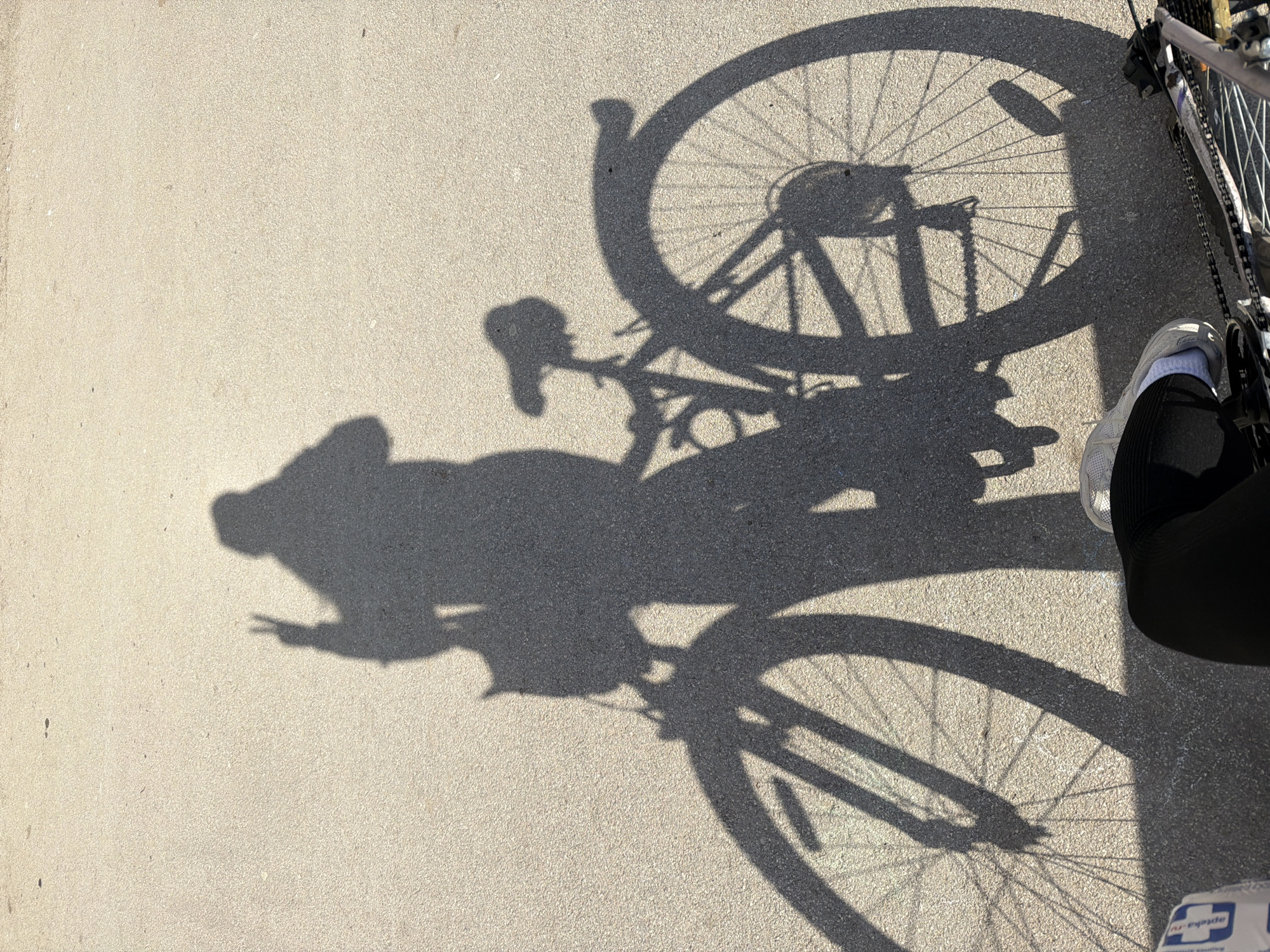 The image captures a ground-level view of a person's shadow and their bicycle, cast on a light-colored, textured concrete or asphalt surface in Perm, Russia. Strong, sharp shadows indicate bright sunlight, likely during the early morning or late afternoon due to their length.
The prominent subjects are the deep grey shadows of a person and a bicycle. The person's shadow is visible on the left, extending towards the center, and clearly shows a hand making a "peace" (V) sign gesture. The shadow of the bicycle is equally dominant, depicting its wheels, frame, handlebars, and seat. In the top right and along the right edge of the frame, parts of the actual bicycle are visible, including the rear wheel, chain, and a portion of the frame. The lower right corner also shows a person's right foot, clad in a white sneaker with a white sock, next to a black pant leg.
The activity taking place appears to be a casual moment during a bike ride, with the rider pausing to capture their shadow. The peace sign suggests a playful or positive emotion.
Notable details include the clear, sunny weather and the distinctive long shadows. On the white sneaker, part of a brand name, possibly "ASICS," is visible. Near the bottom right, a white tag or label is partially visible with a blue cross symbol and some indistinct text, possibly "nr-pyule" and "CITY HOMES," which might be part of clothing or a bag.