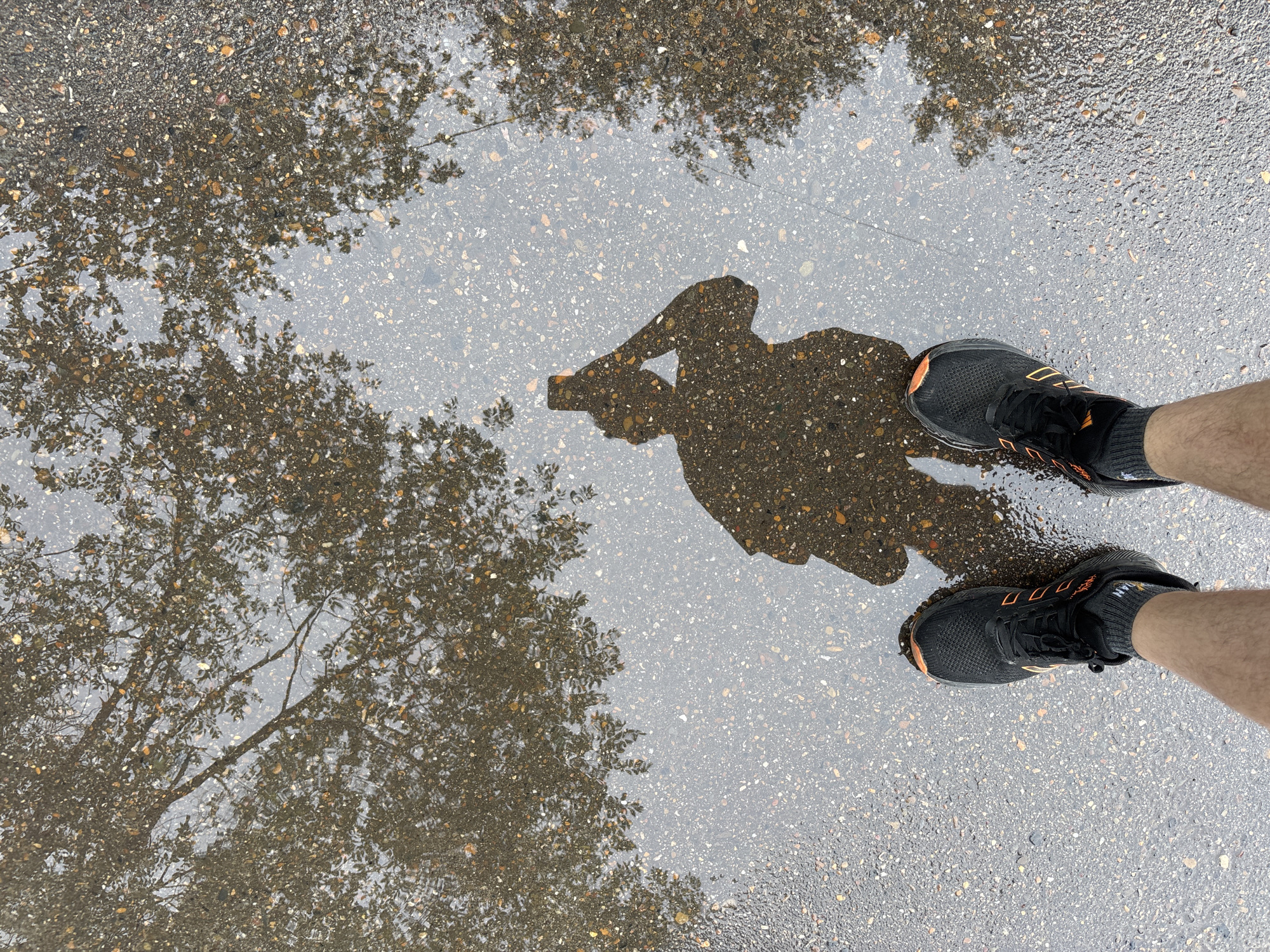 An outdoor, high-angle shot captures a puddle on an asphalt surface, reflecting the overcast sky and the branches of a tree. The water in the puddle reveals small stones and pebbles embedded in the asphalt. In the foreground, a person's legs are visible, wearing dark athletic shoes with orange accents and dark gray socks. The person is taking a selfie, as evidenced by the reflection in the puddle showing a figure holding a phone to their head. The scene does not contain any identifiable landmarks or elements that would allow for a specific location within Blagoveshchensk, Russia to be determined.
