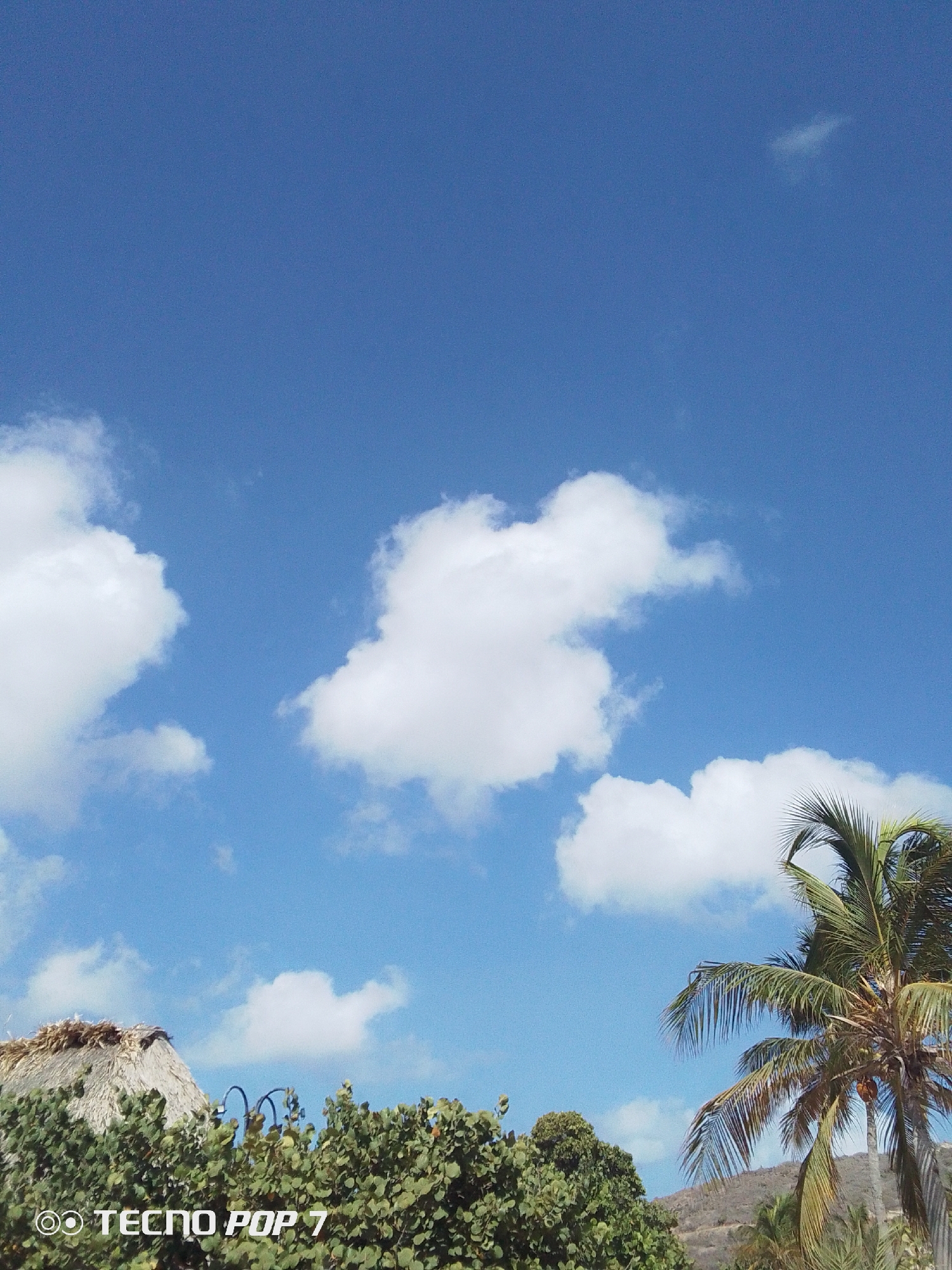 The image shows a daytime scene in Pedro González, Venezuela, featuring a blue sky dotted with white clouds. In the lower portion of the frame, there's a thatched roof structure partially visible behind green foliage. A palm tree stands to the right, its fronds extending into the sky. In the distance, a hill or mountain is subtly visible. The camera's watermark, "TECNOP POP 7," is displayed in the bottom left corner.