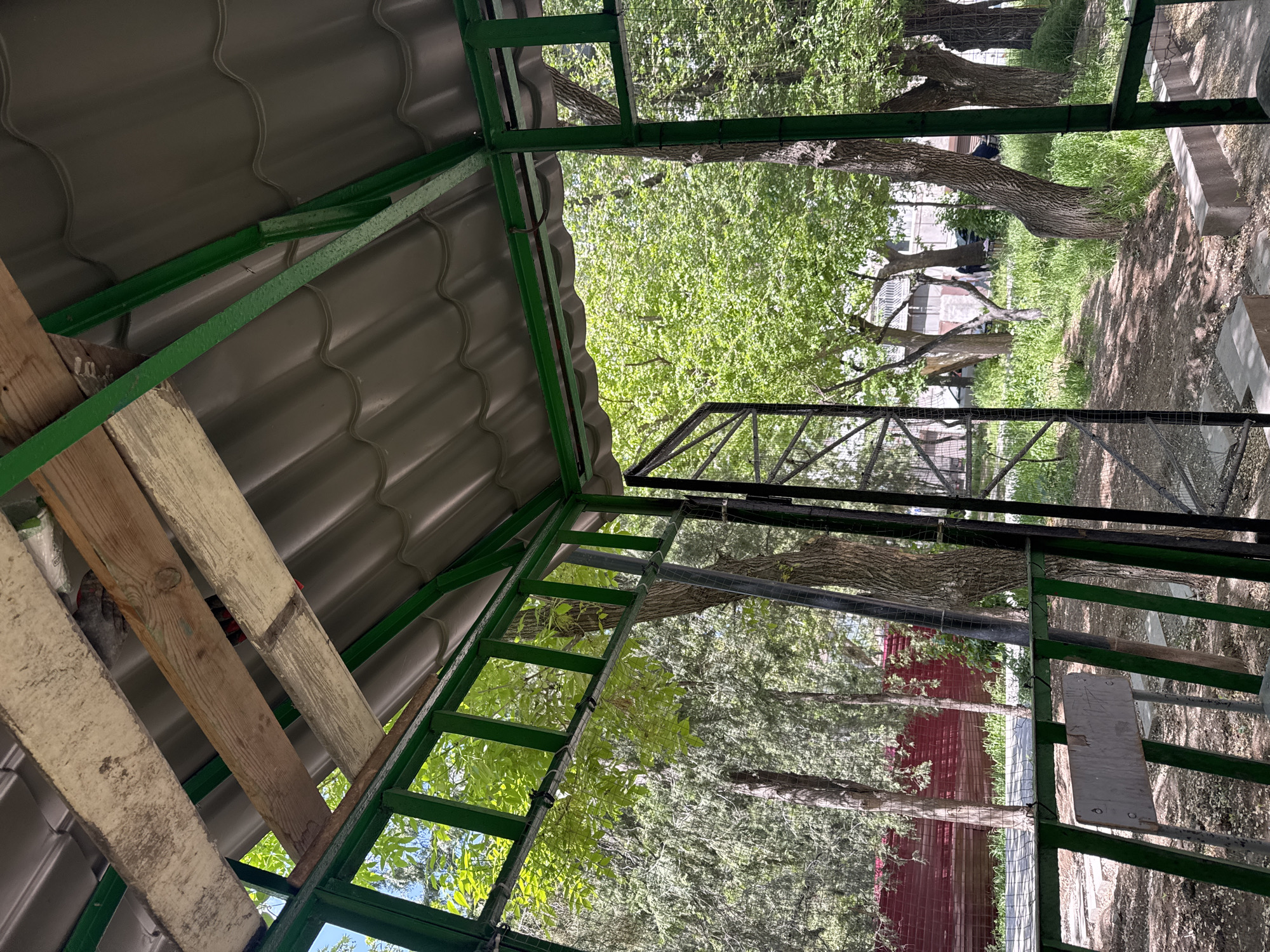 The image depicts the interior of a green metal structure with a corrugated metal roof. The location is likely a structure in Yerevan, Armenia. The view looks outward toward trees and a building partially obscured by foliage and chain-link fencing. Some wooden planks are visible within the structure's framework. The focus is on the interplay between the man-made structure and the natural environment.